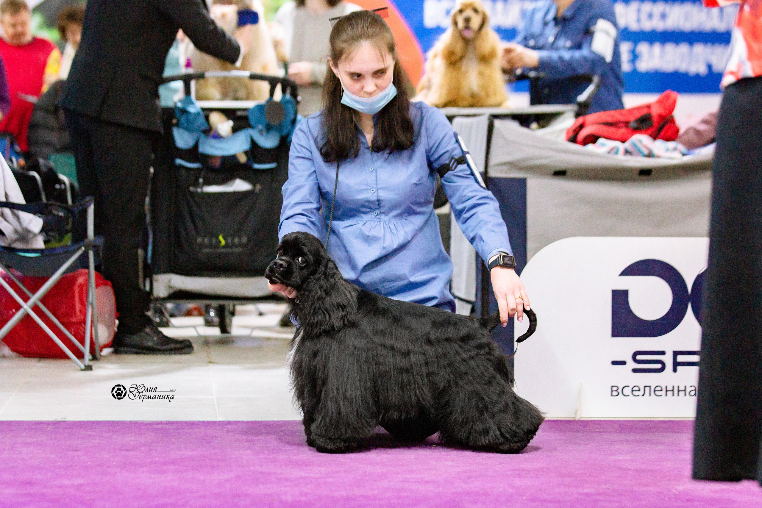 Чайна-Таун 13 и 20 марта 2022. Фотограф-анималист Юлия Германика