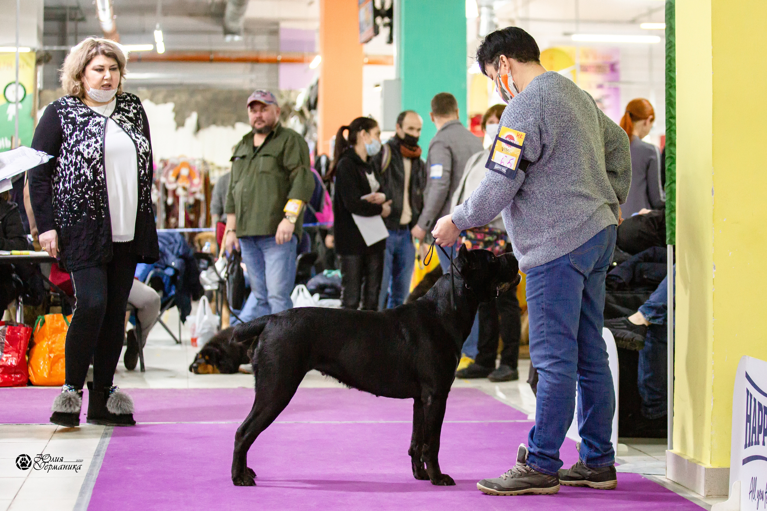 Чайна-Таун 29-30 января 2022. Фотограф-анималист Юлия Германика
