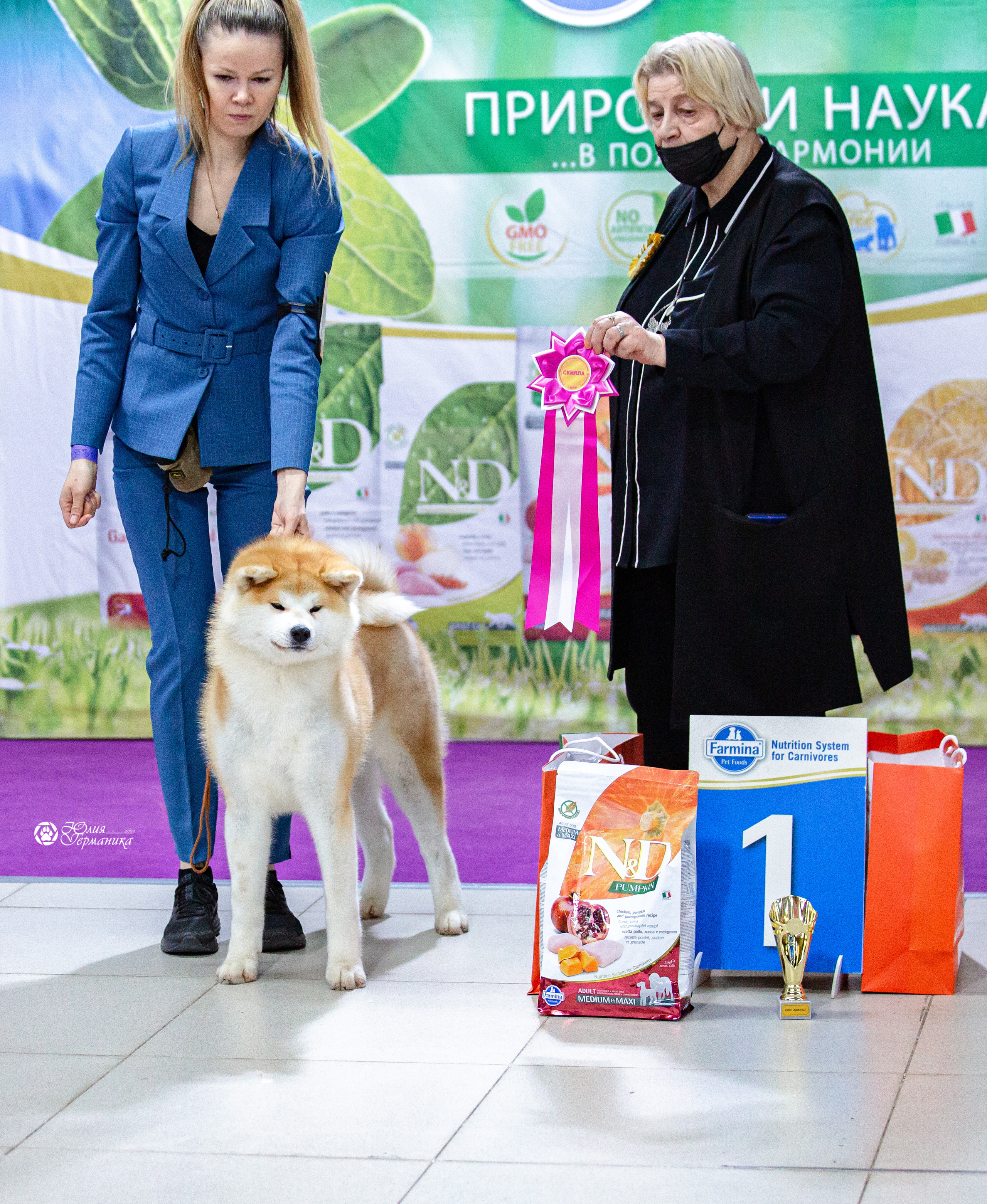 Чайна-Таун 29-30 января 2022. Фотограф-анималист Юлия Германика