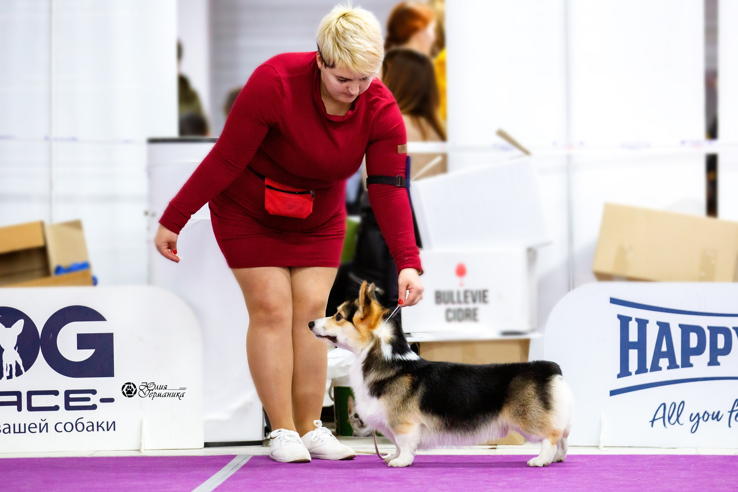 Чайна-Таун 27 февраля 2022. Фотограф-анималист Юлия Германика