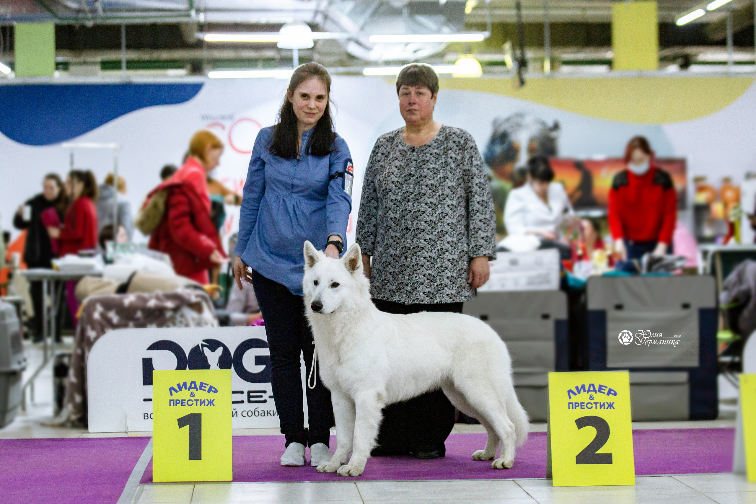 Чайна-Таун 13 и 20 марта 2022. Фотограф-анималист Юлия Германика