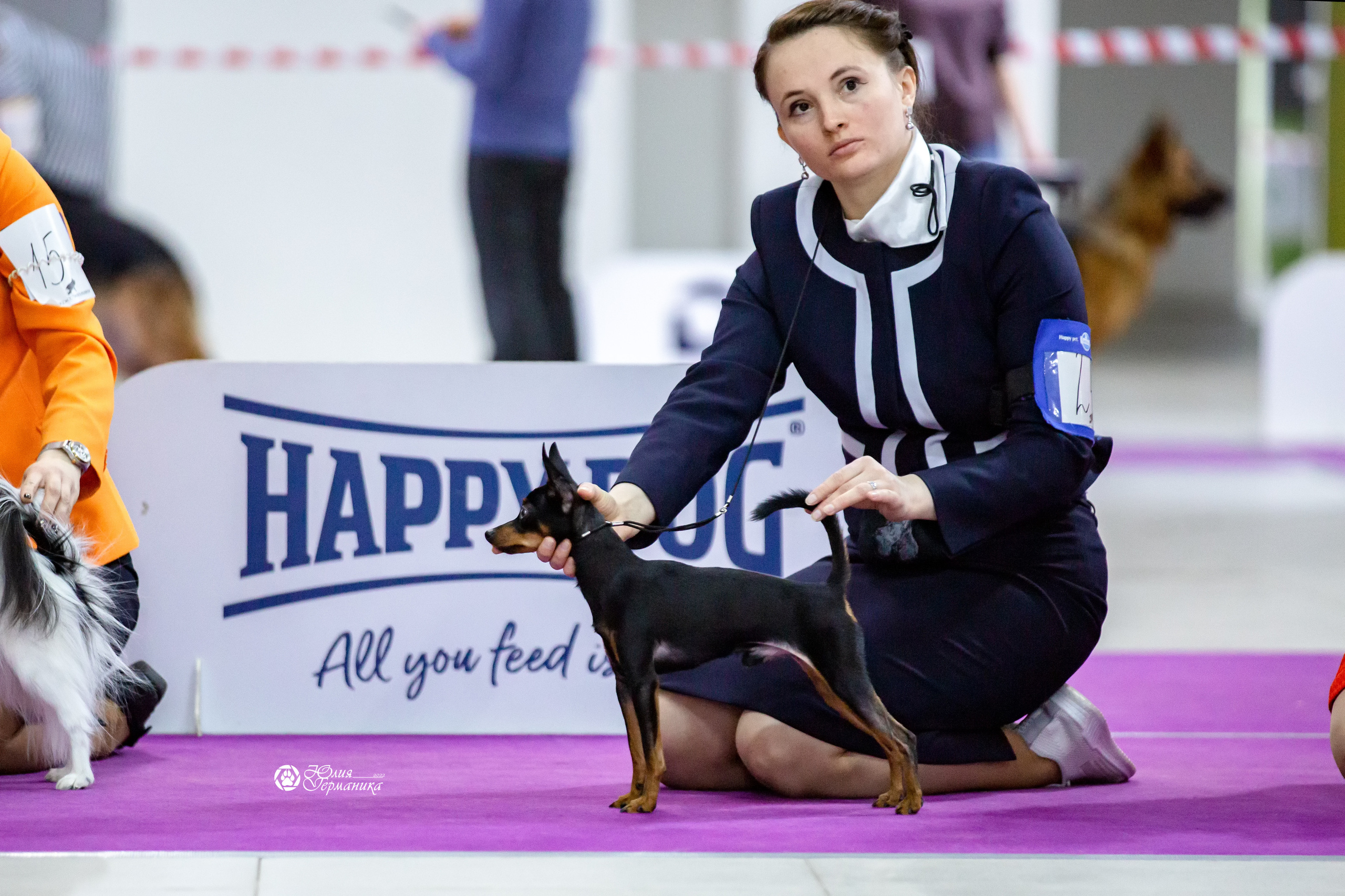 Чайна-Таун 12-13 февраля 2022. Фотограф-анималист Юлия Германика