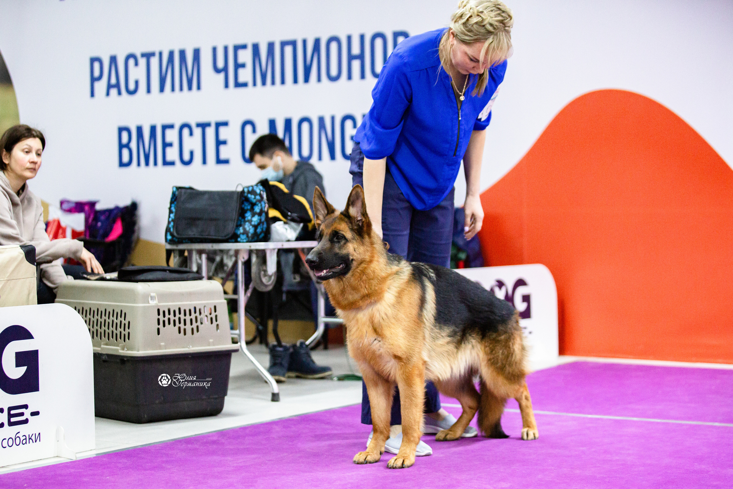 Чайна-Таун 12-13 февраля 2022. Фотограф-анималист Юлия Германика