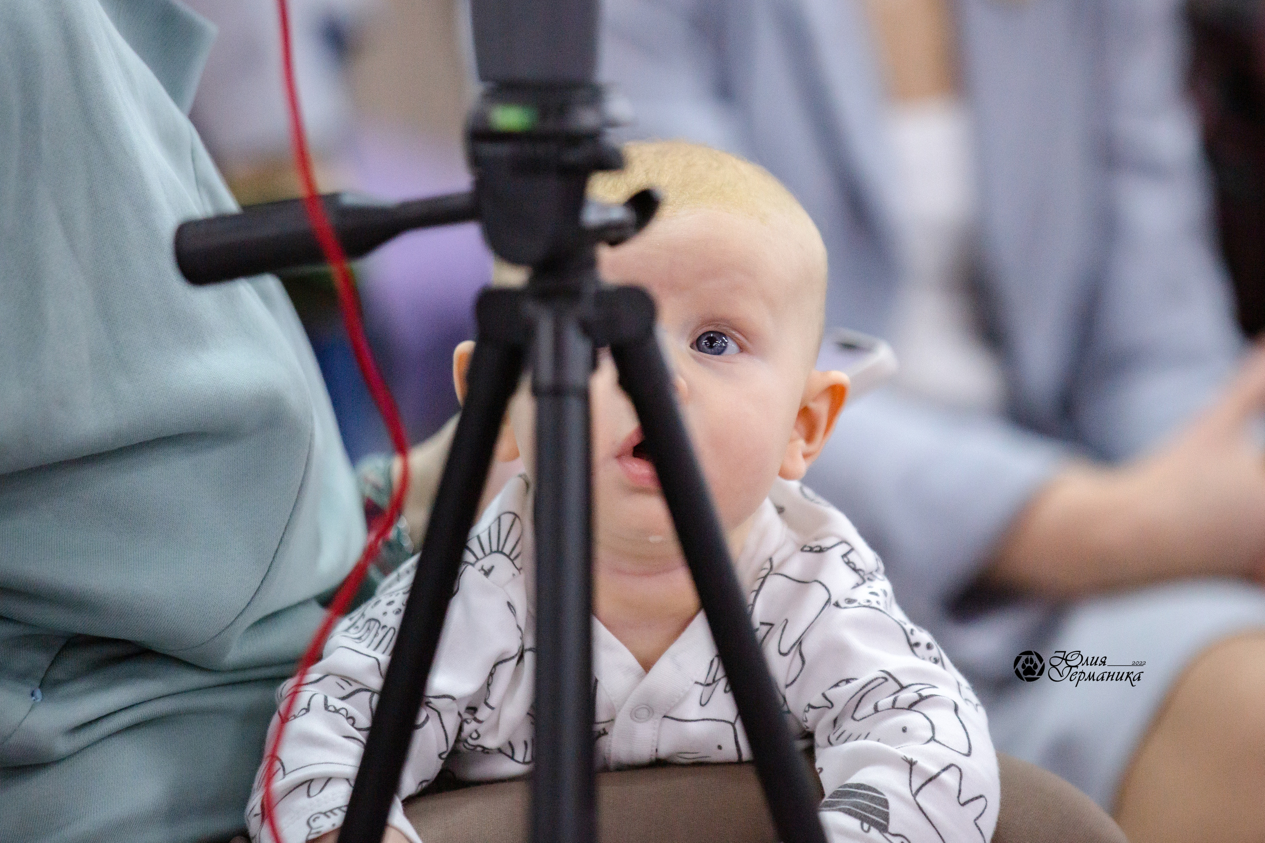 Чайна-Таун 12-13 февраля 2022. Фотограф-анималист Юлия Германика