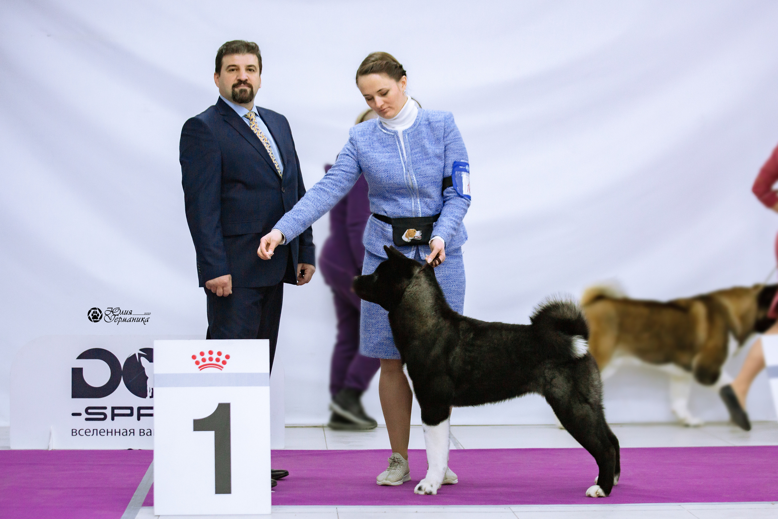 Чайна-Таун 13 и 20 марта 2022. Фотограф-анималист Юлия Германика