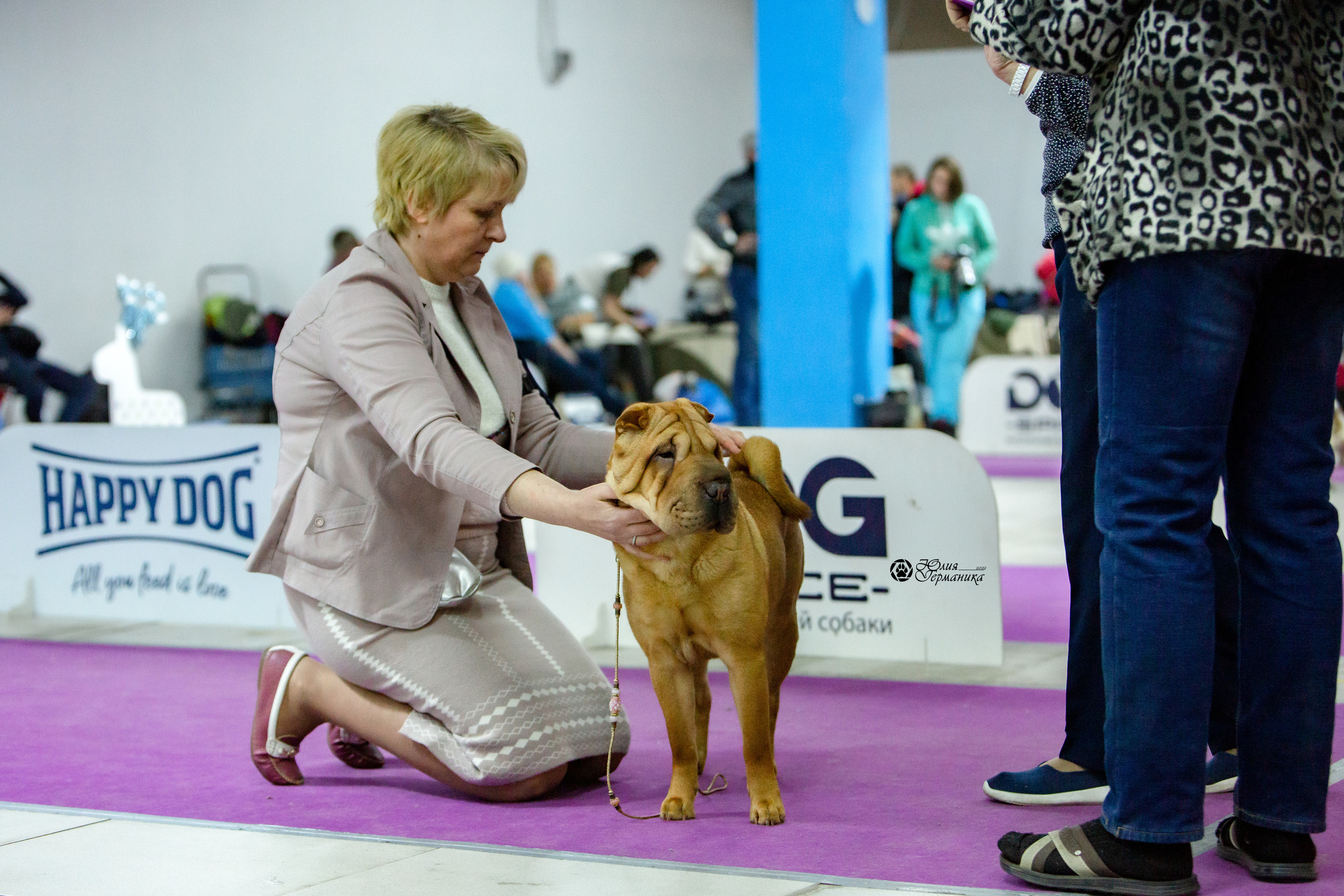 Чайна-Таун 8 января 2022. Фотограф-анималист Юлия Германика