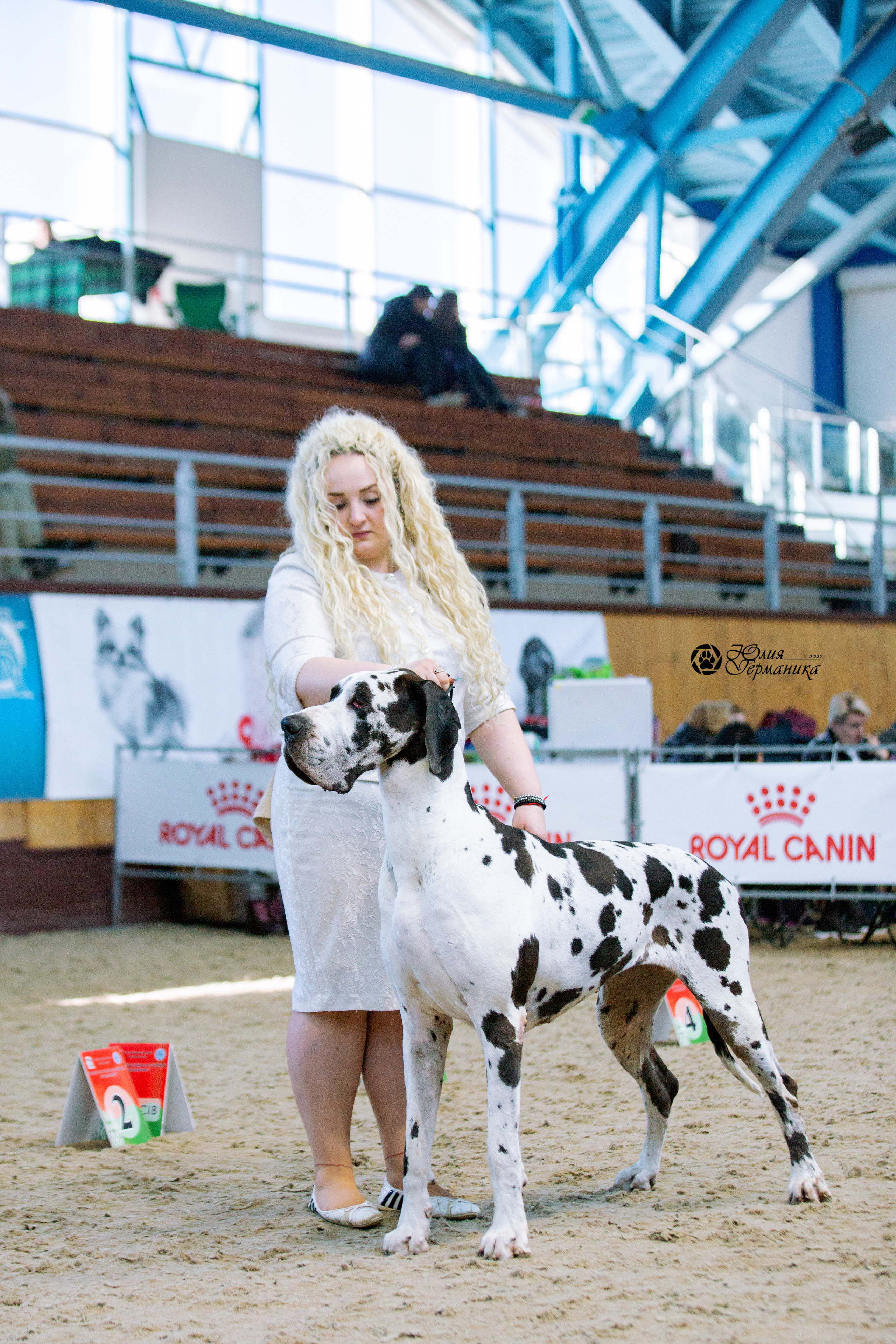 Минск 2хCACIB 5-6 марта 2022. Фотограф-анималист Юлия Германика