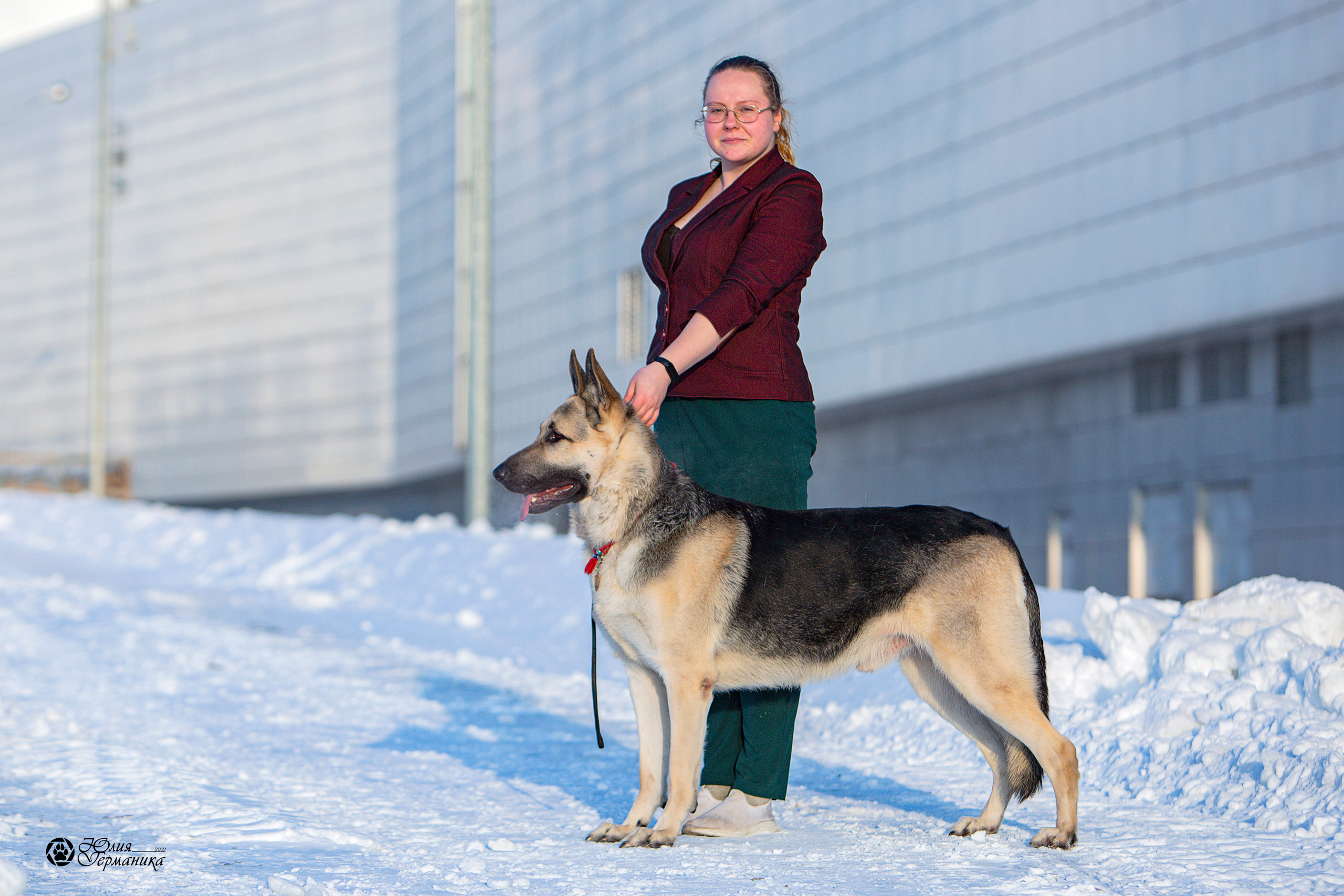 Свободная съемка. Фотограф-анималист Юлия Германика