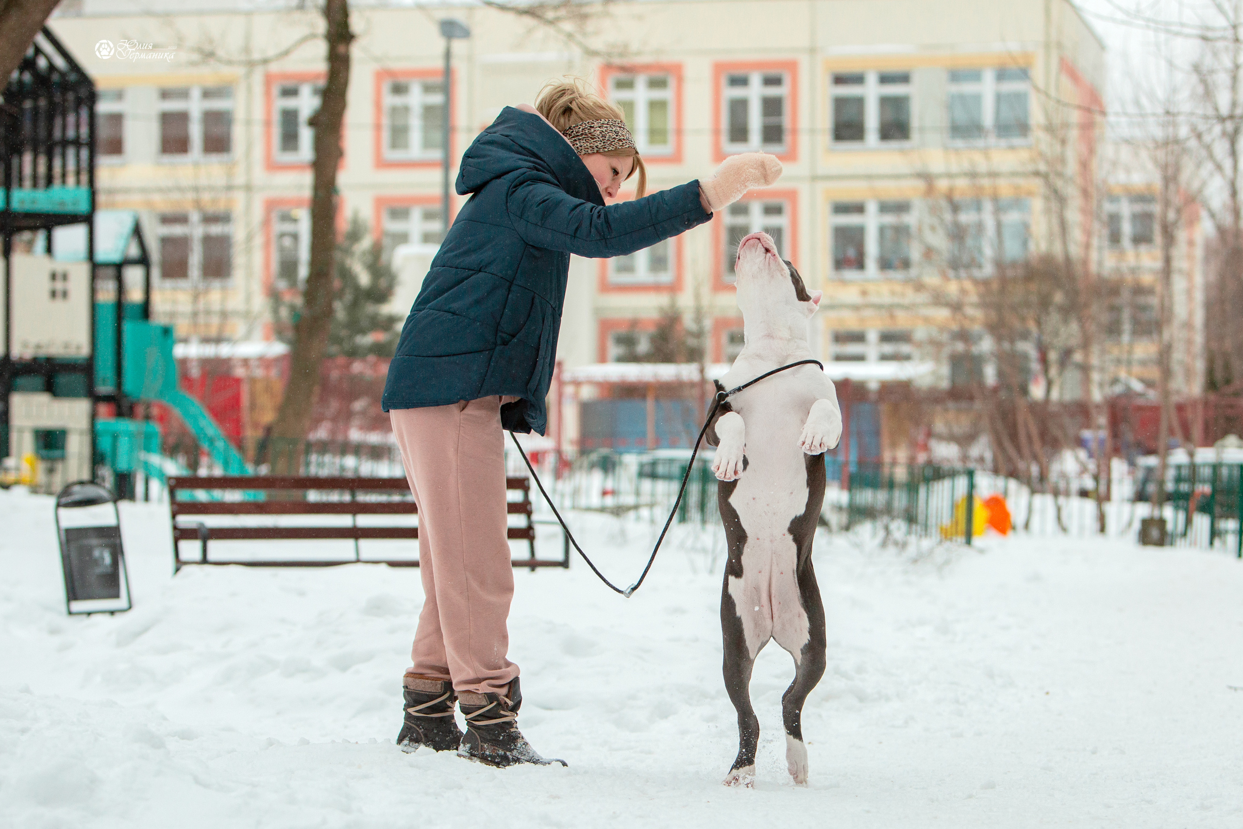Съёмки щенков и котят. Фотограф-анималист Юлия Германика