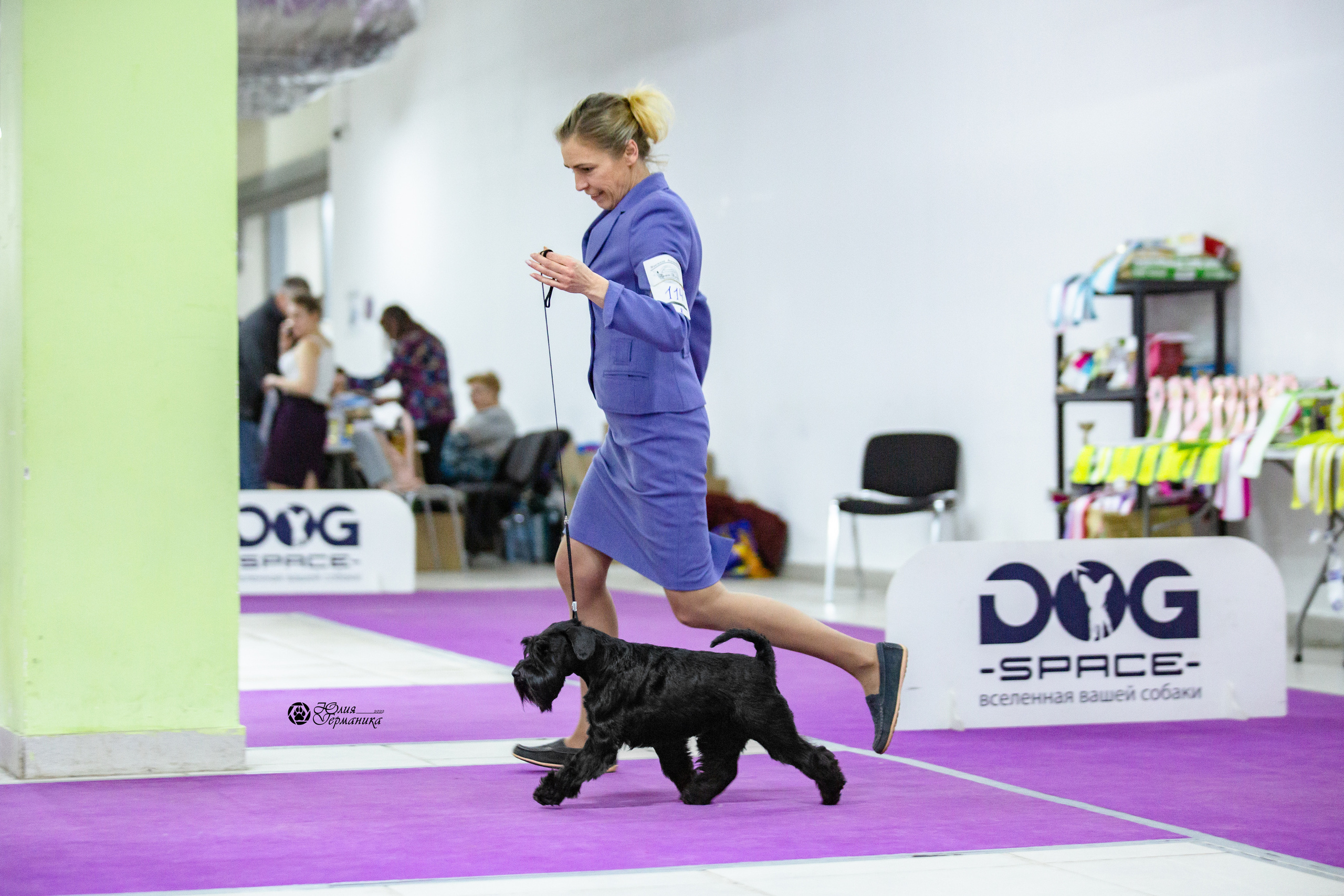 Чайна-Таун 12-13 февраля 2022. Фотограф-анималист Юлия Германика