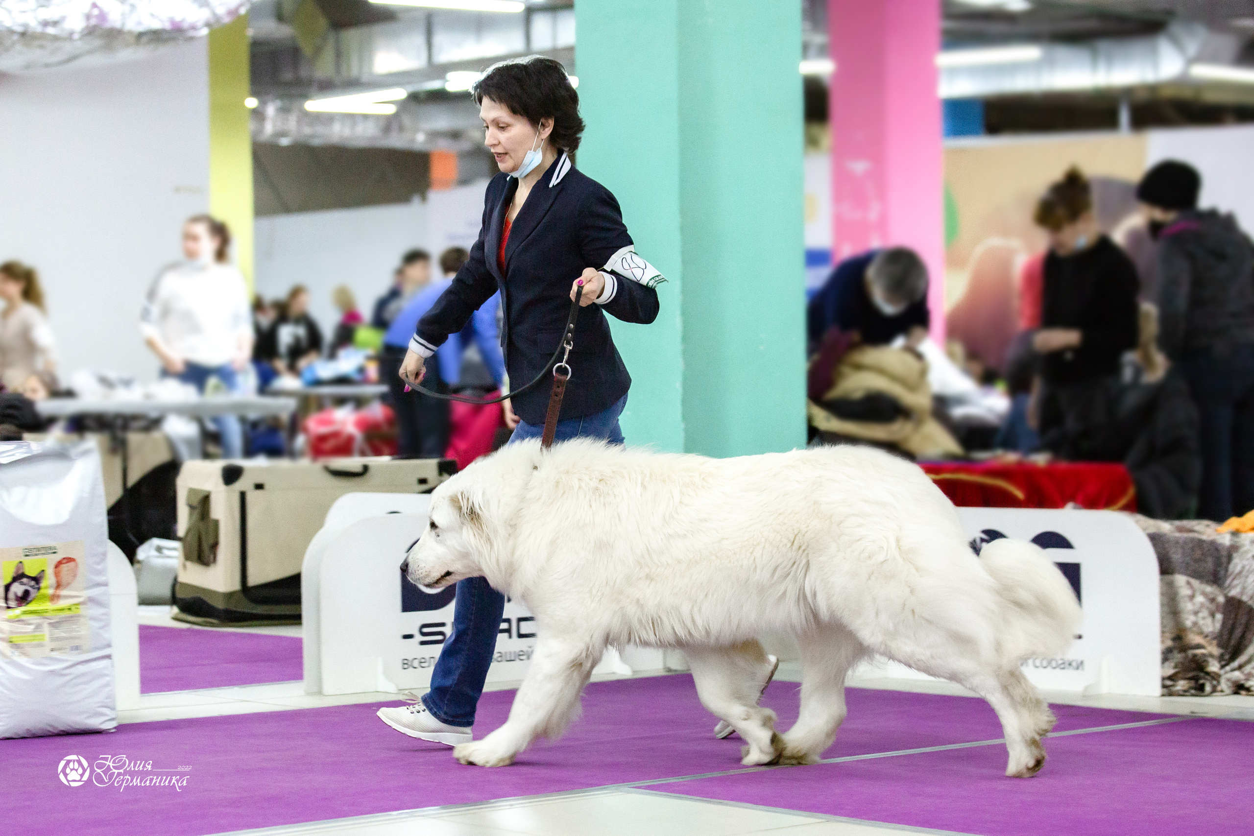 Чайна-Таун 23 февраля 2022. Фотограф-анималист Юлия Германика