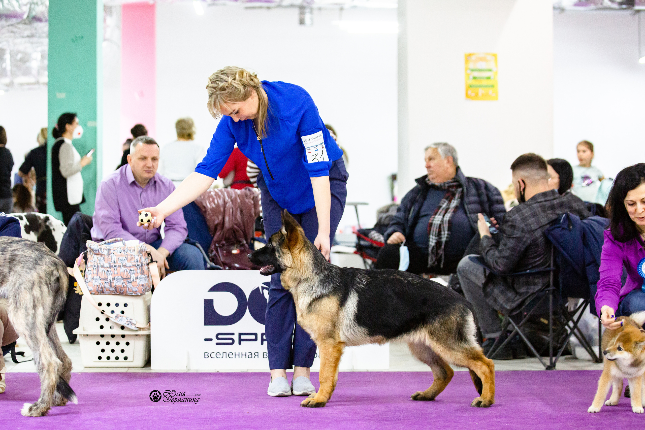 Чайна-Таун 12-13 февраля 2022. Фотограф-анималист Юлия Германика