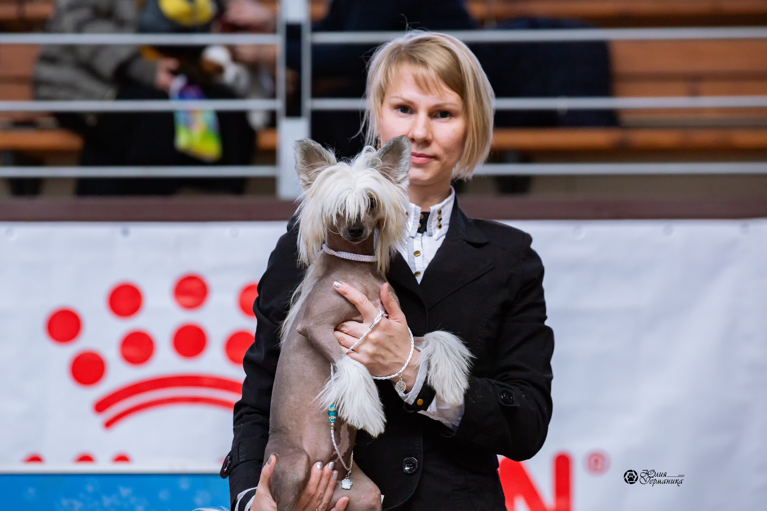 Минск 2хCACIB 5-6 марта 2022. Фотограф-анималист Юлия Германика