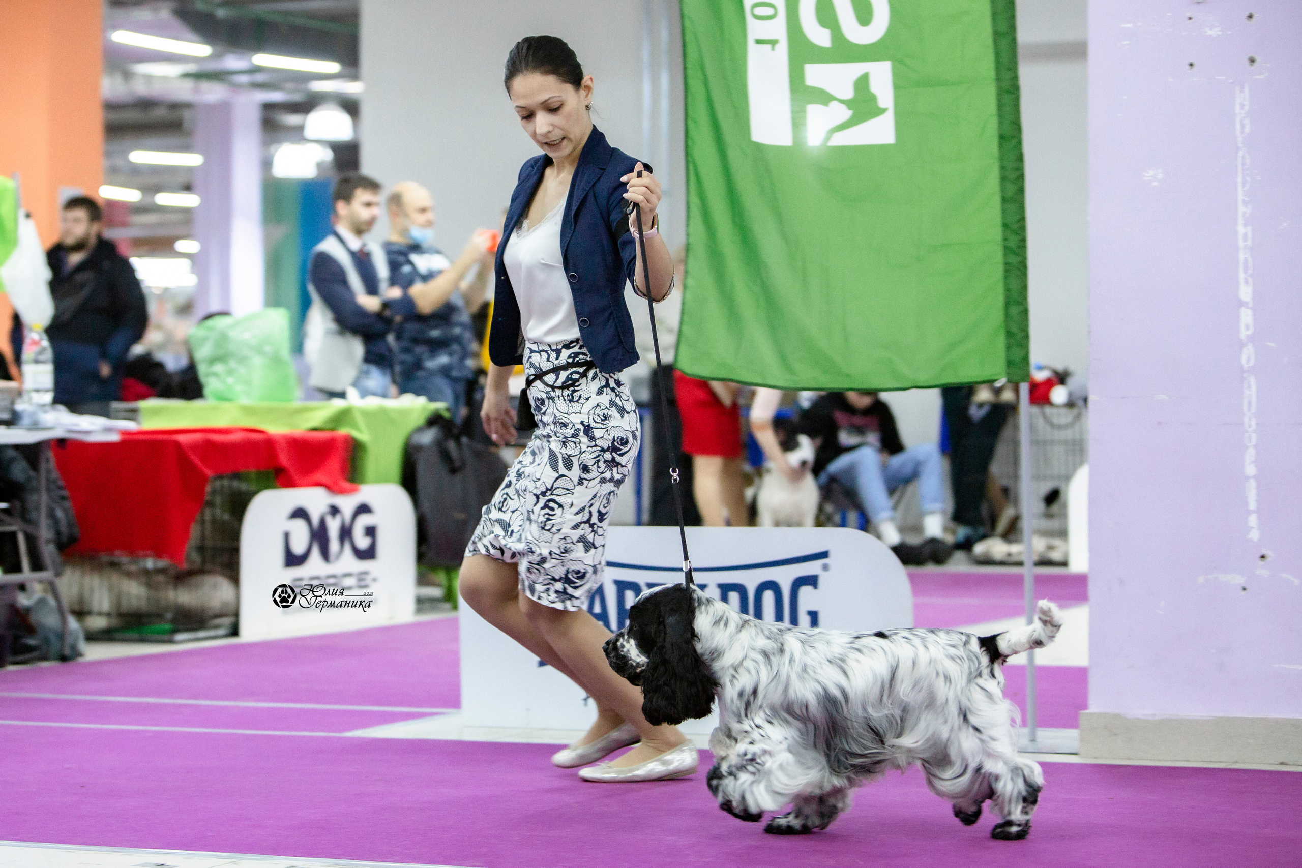 Чайна-Таун 18,26 и 29 декабря 2021. Фотограф-анималист Юлия Германика