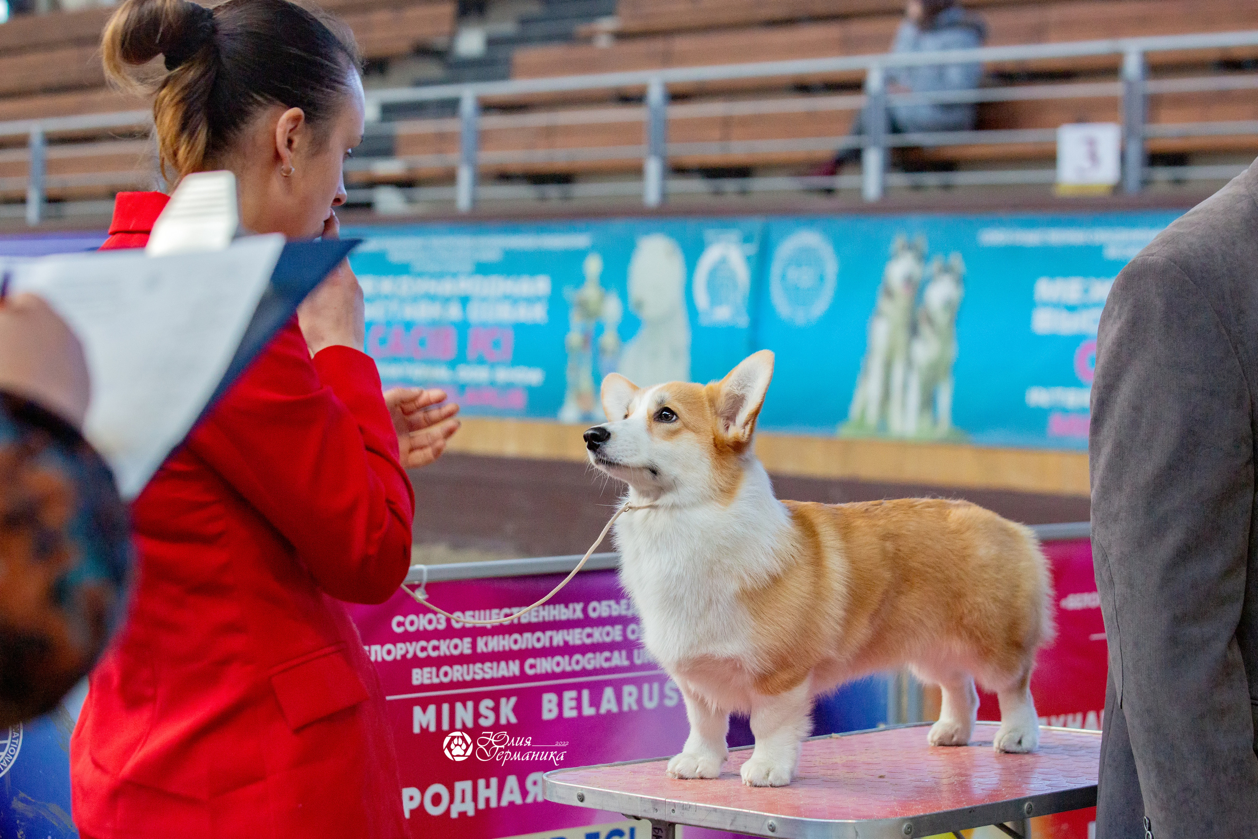 Минск 2хCACIB 5-6 марта 2022. Фотограф-анималист Юлия Германика