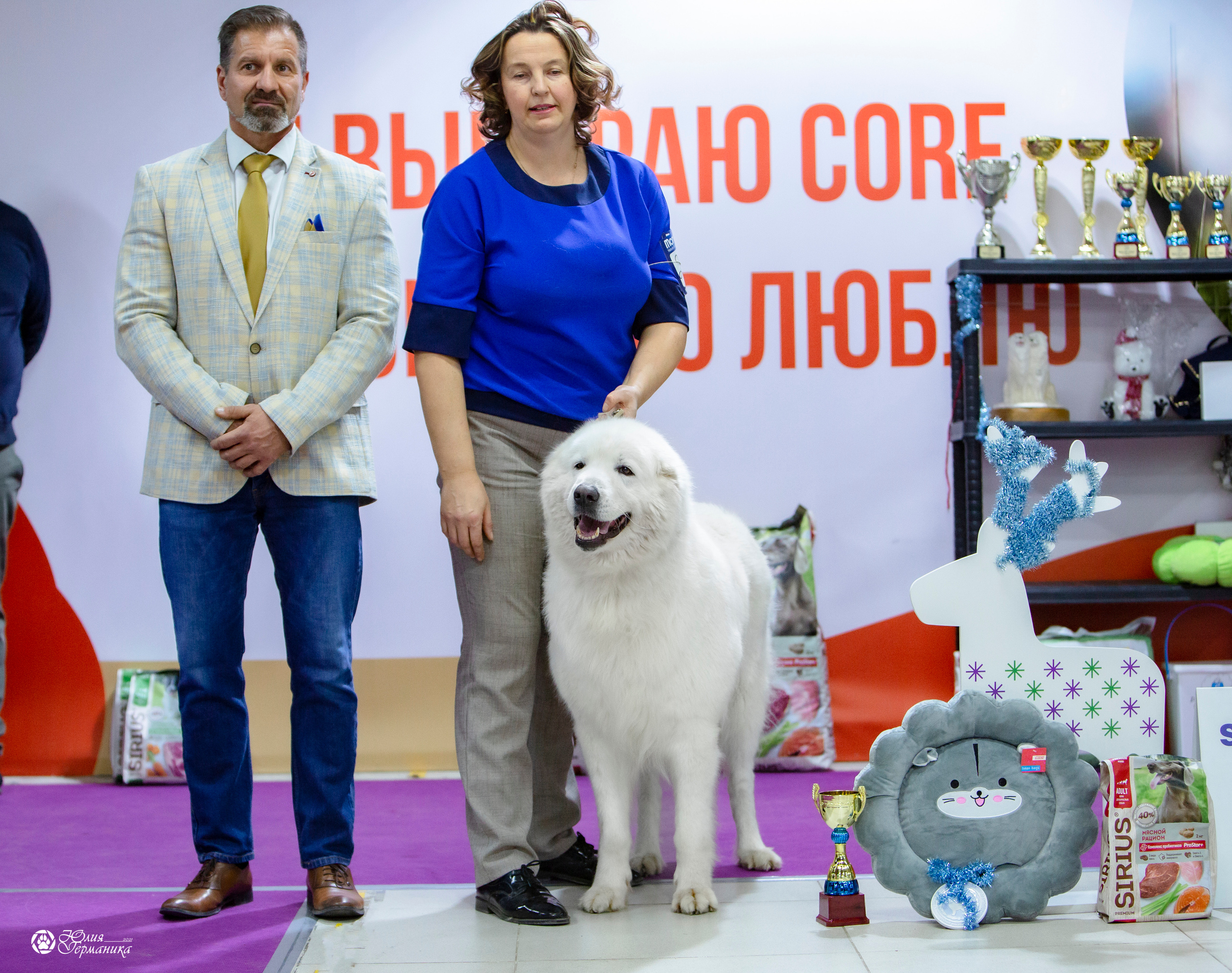 Чайна-Таун 18,26 и 29 декабря 2021. Фотограф-анималист Юлия Германика