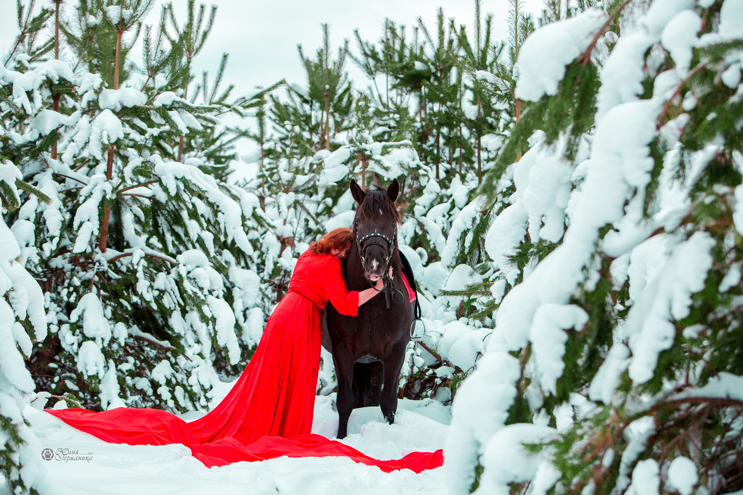 Съёмки с лошадьми. Фотограф-анималист Юлия Германика