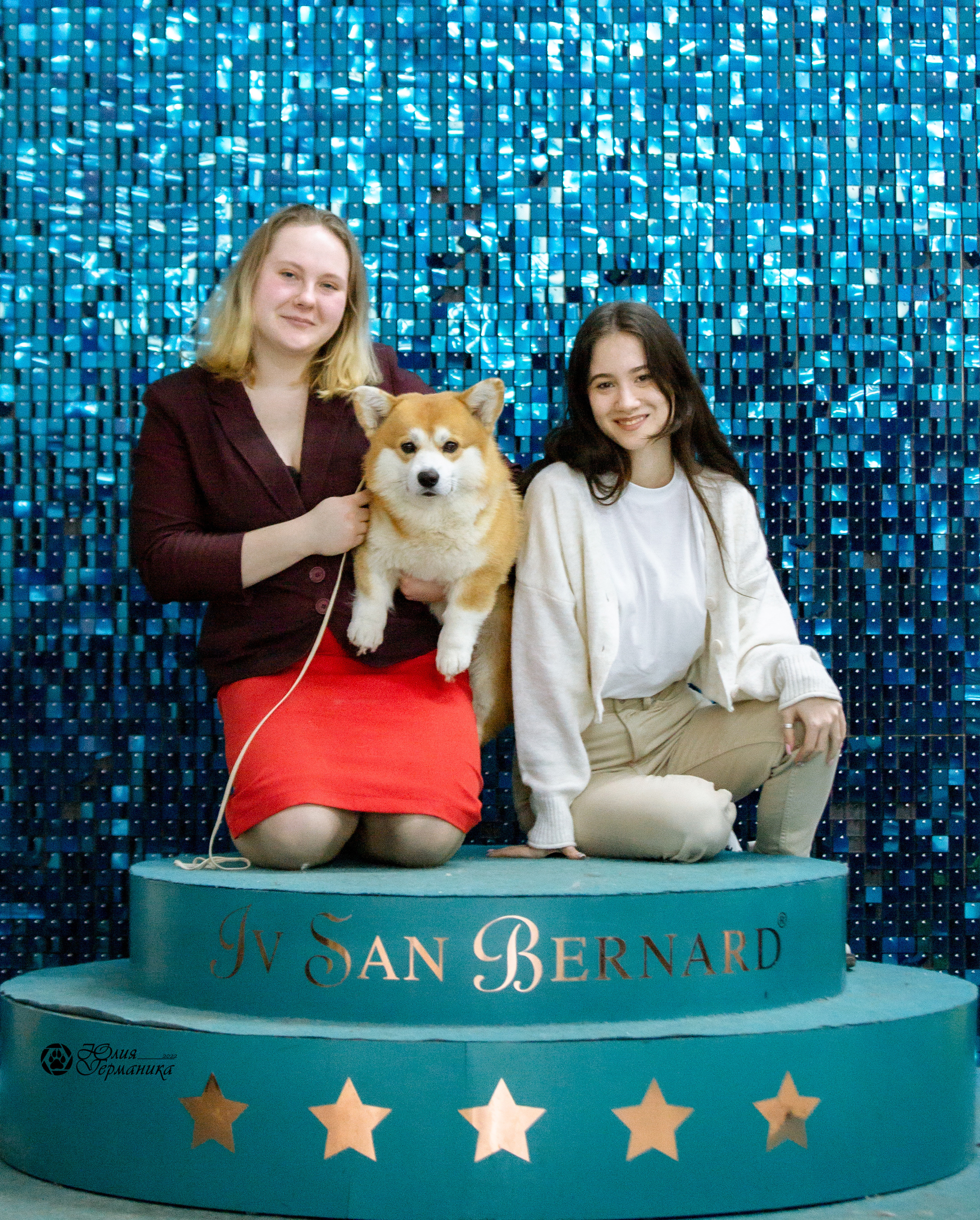 Чайна-Таун 13 и 20 марта 2022. Фотограф-анималист Юлия Германика