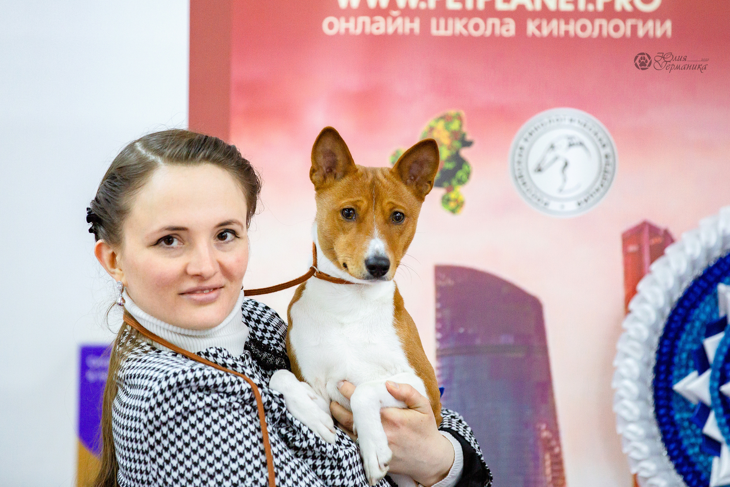 Чайна-Таун 24 и 27 марта 2022. Фотограф-анималист Юлия Германика