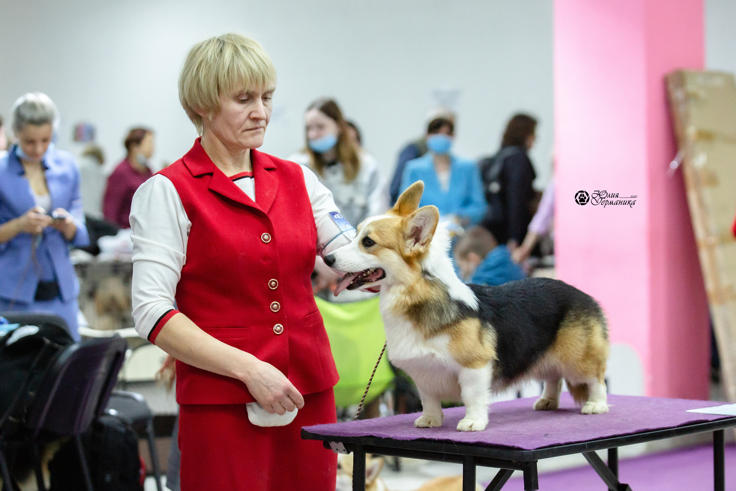 Чайна-Таун 12-13 февраля 2022. Фотограф-анималист Юлия Германика