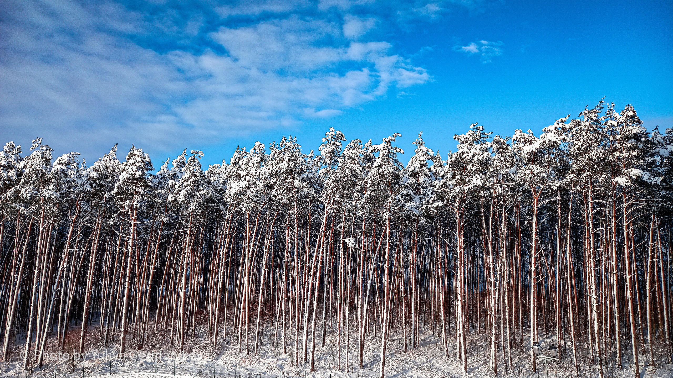 Разные фото на телефон.Города,природа. Фотограф-анималист Юлия Германика