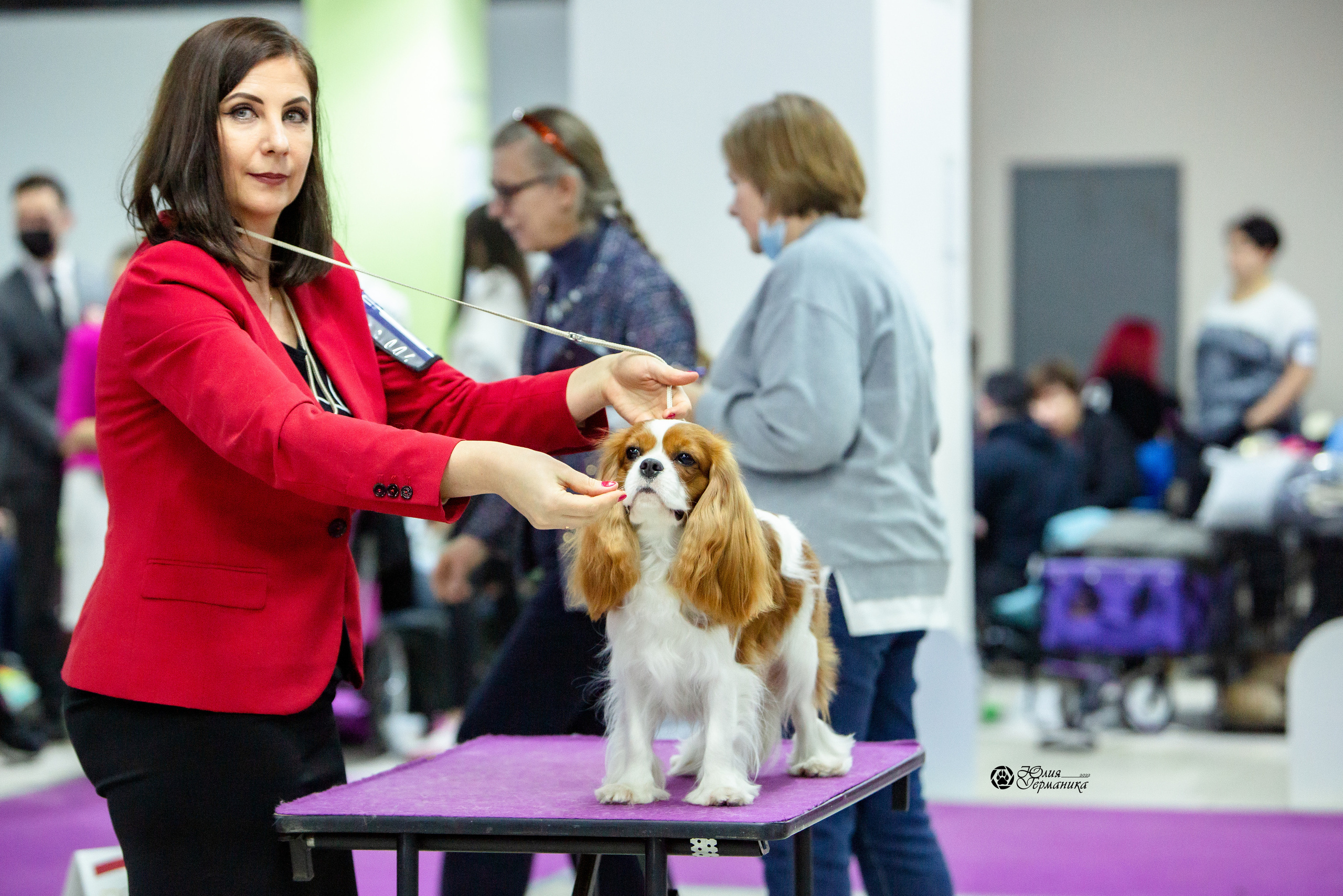 Чайна-Таун 8 января 2022. Фотограф-анималист Юлия Германика