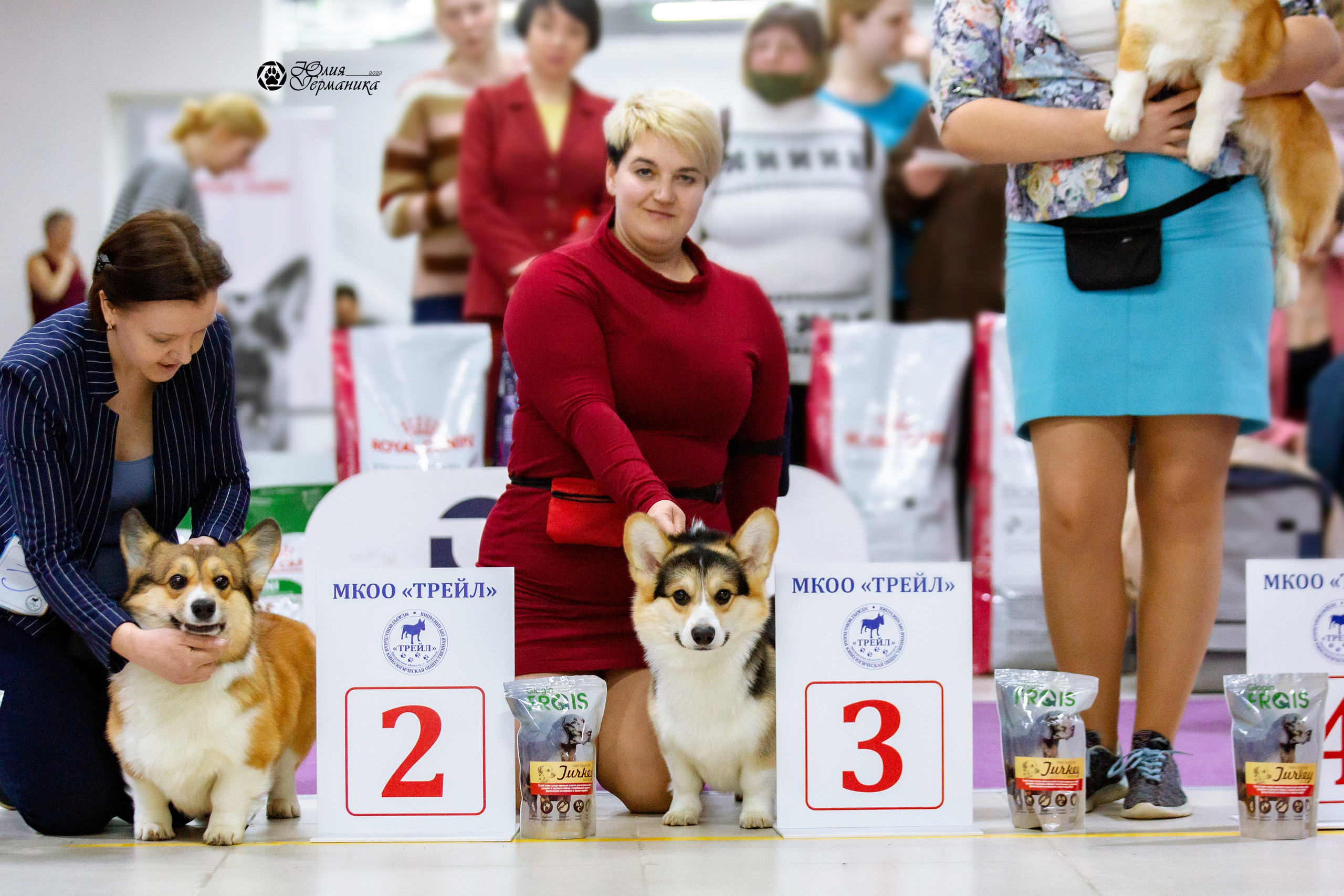 Чайна-Таун 27 февраля 2022. Фотограф-анималист Юлия Германика