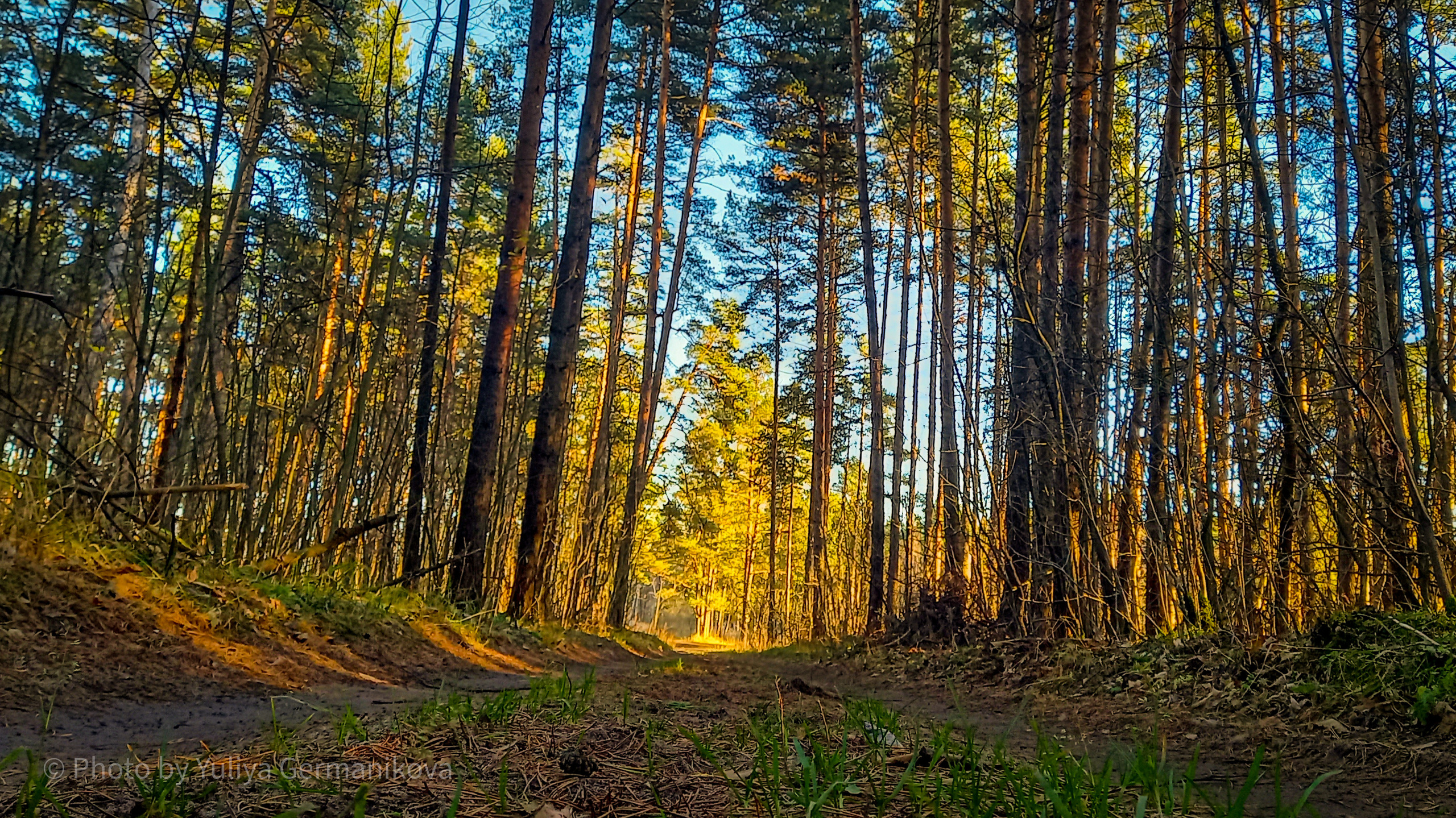 Разные фото на телефон.Города,природа. Фотограф-анималист Юлия Германика