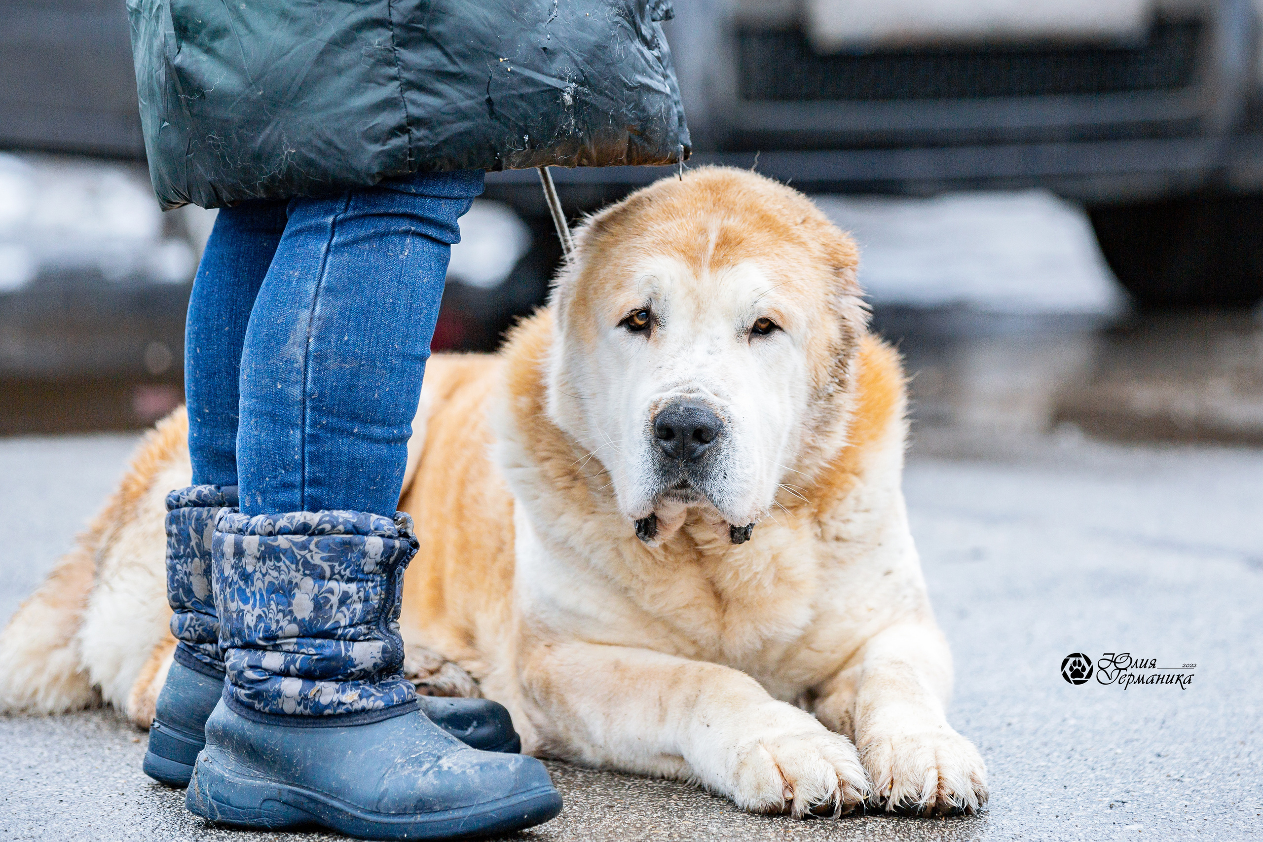 2хМОНО САО Рязань 02 апреля 2022