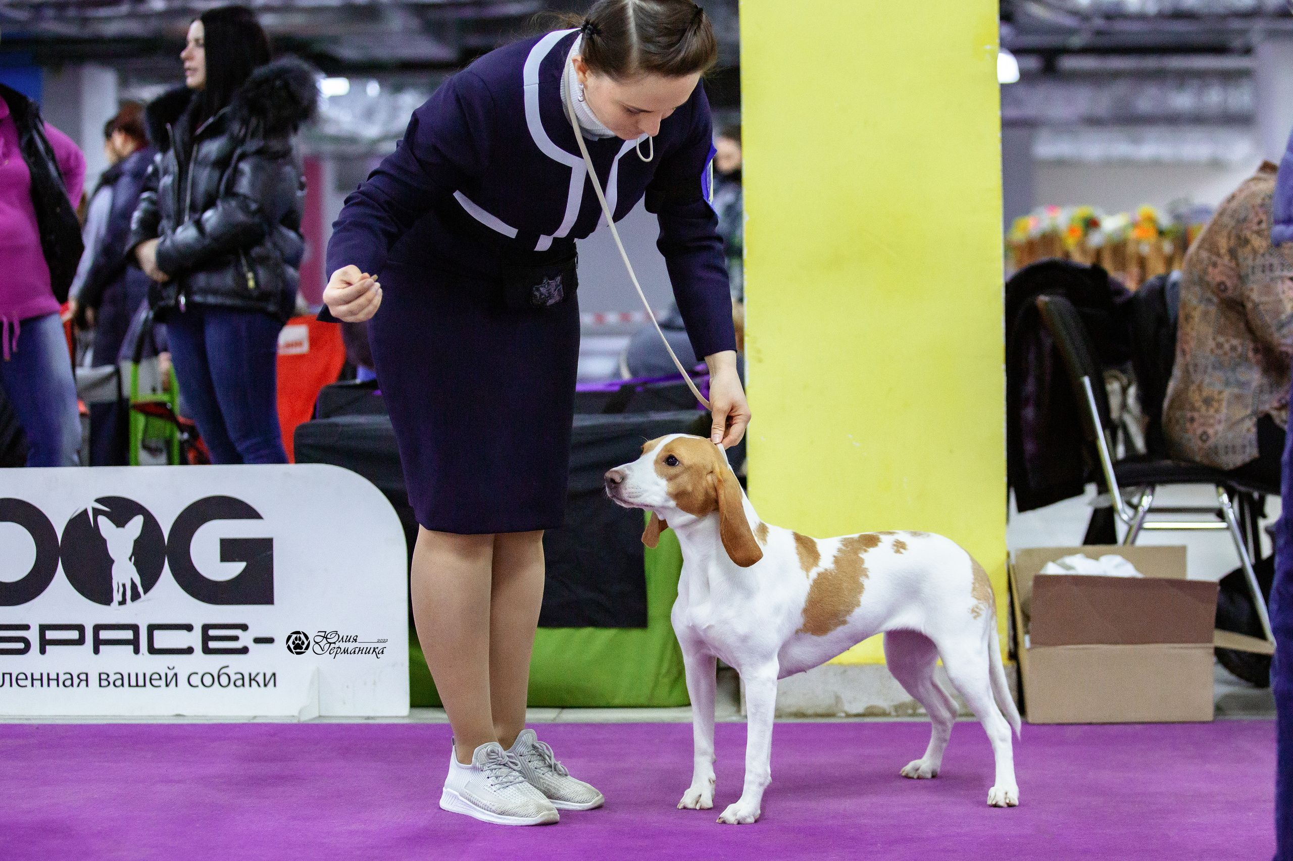 Чайна-Таун 23 февраля 2022. Фотограф-анималист Юлия Германика