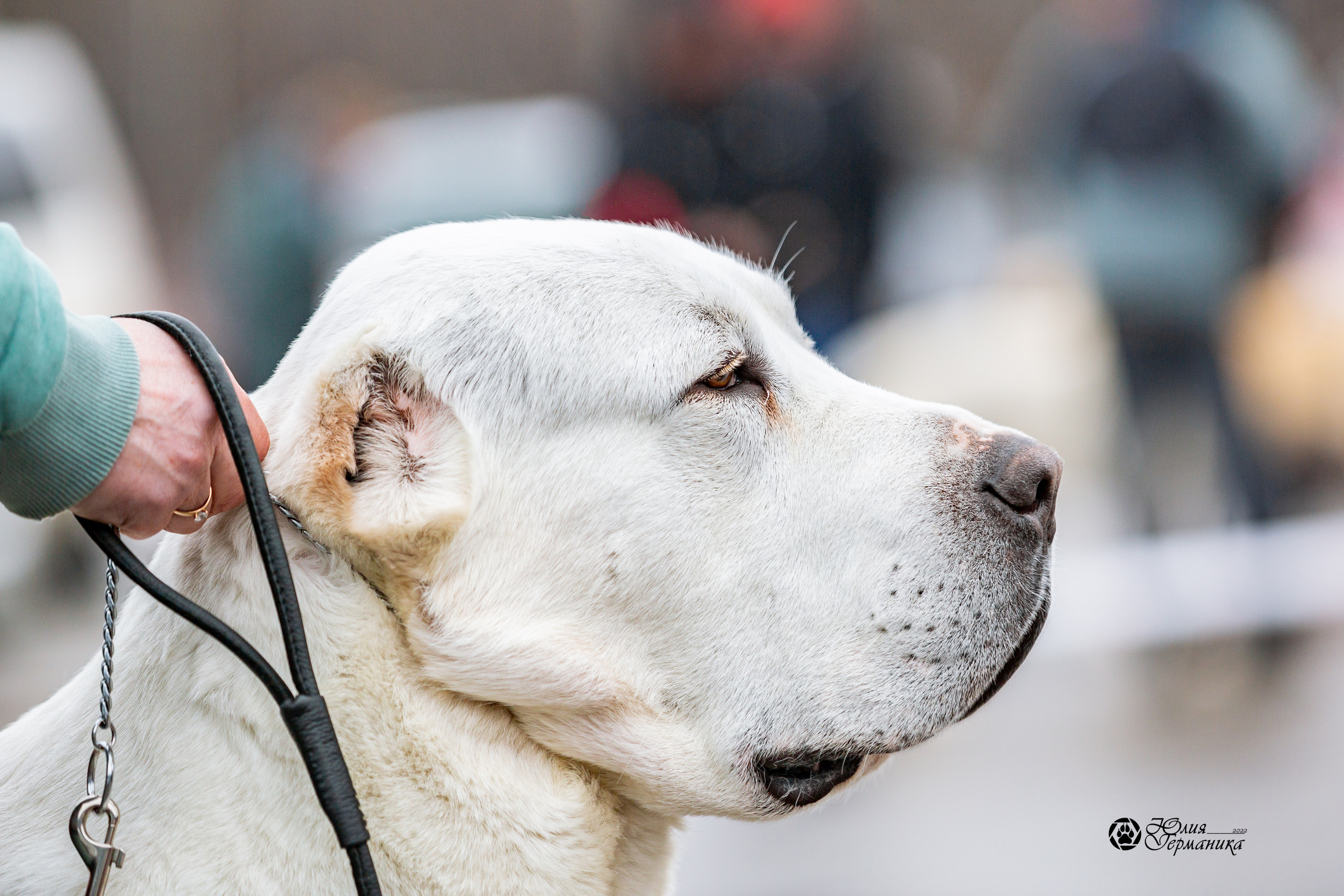 2хМОНО САО Рязань 02 апреля 2022. Фотограф-анималист Юлия Германика