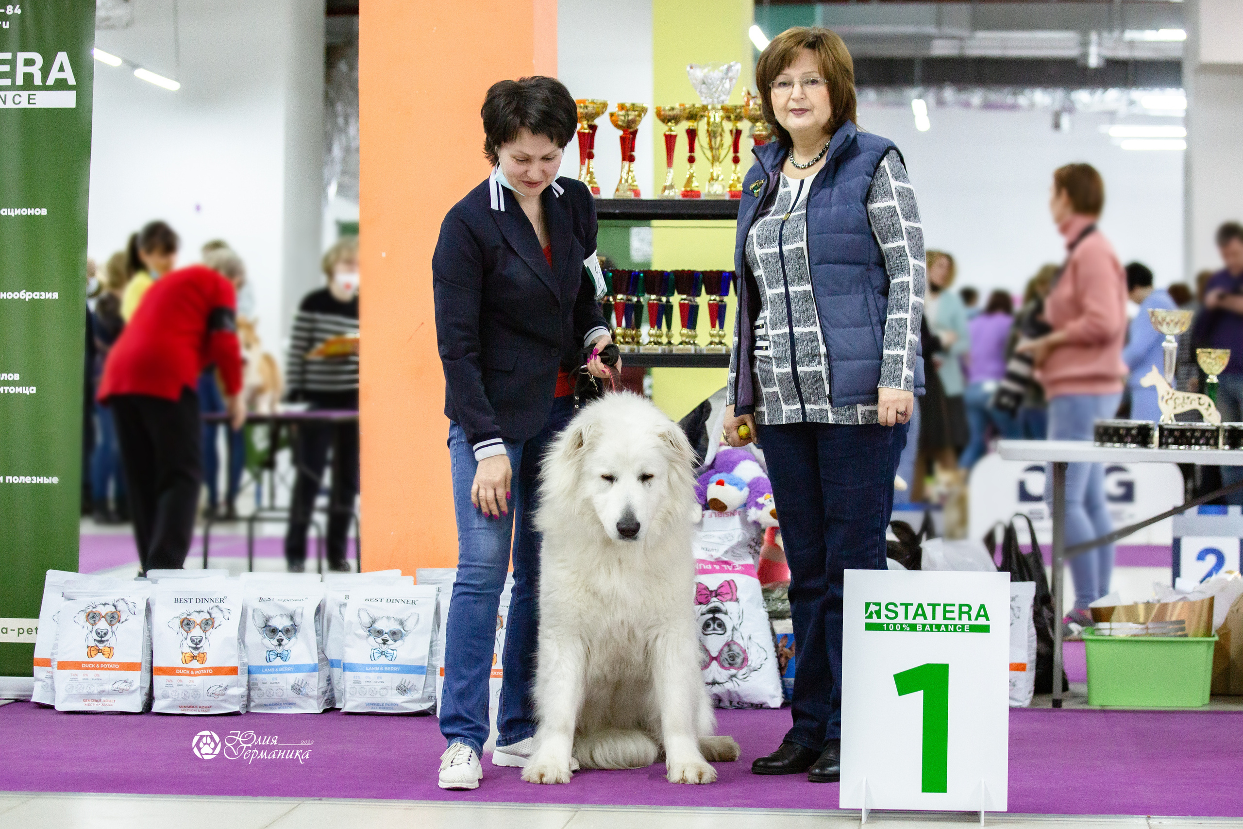 Чайна-Таун 23 февраля 2022. Фотограф-анималист Юлия Германика