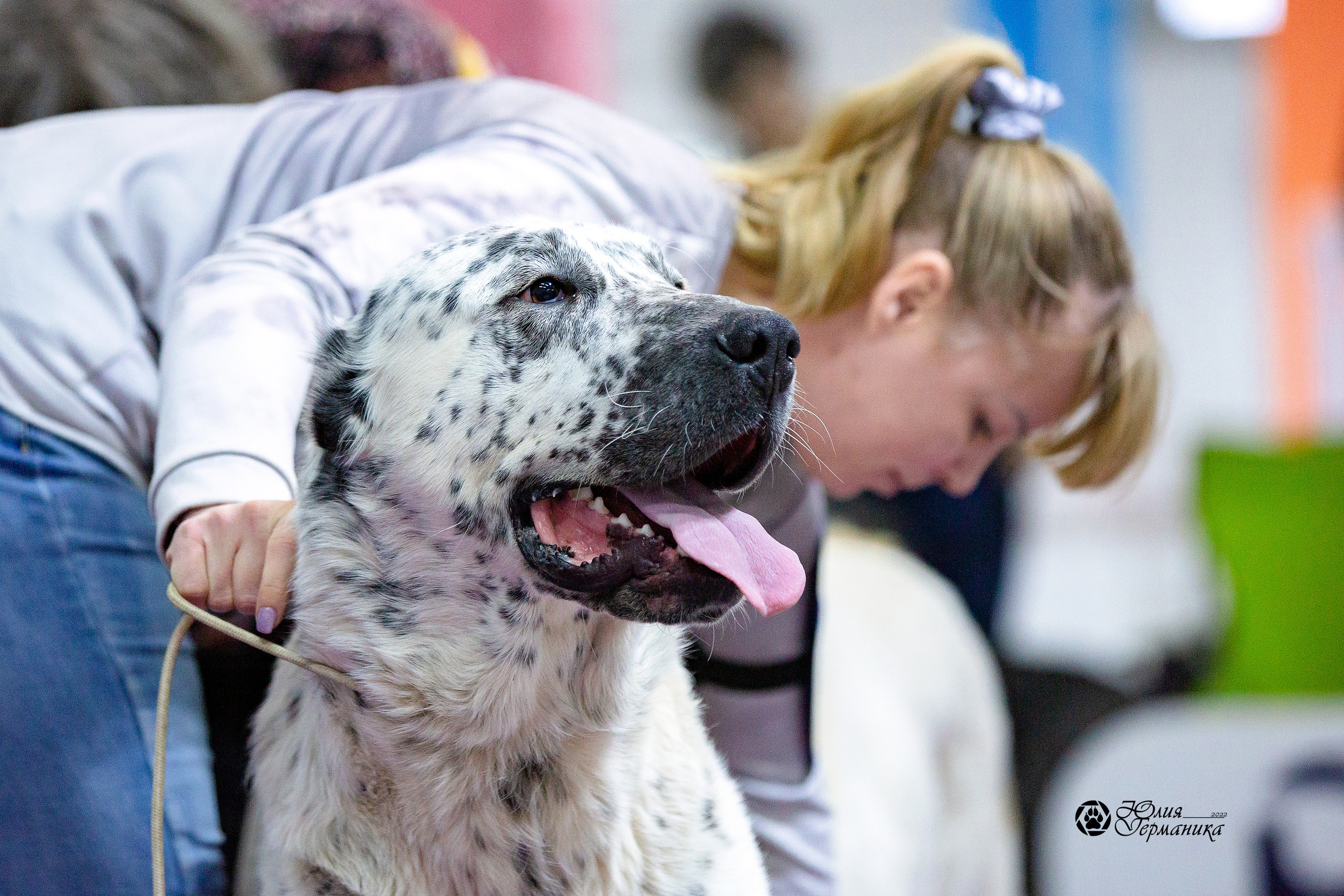 Чайна-Таун 24 и 27 марта 2022. Фотограф-анималист Юлия Германика