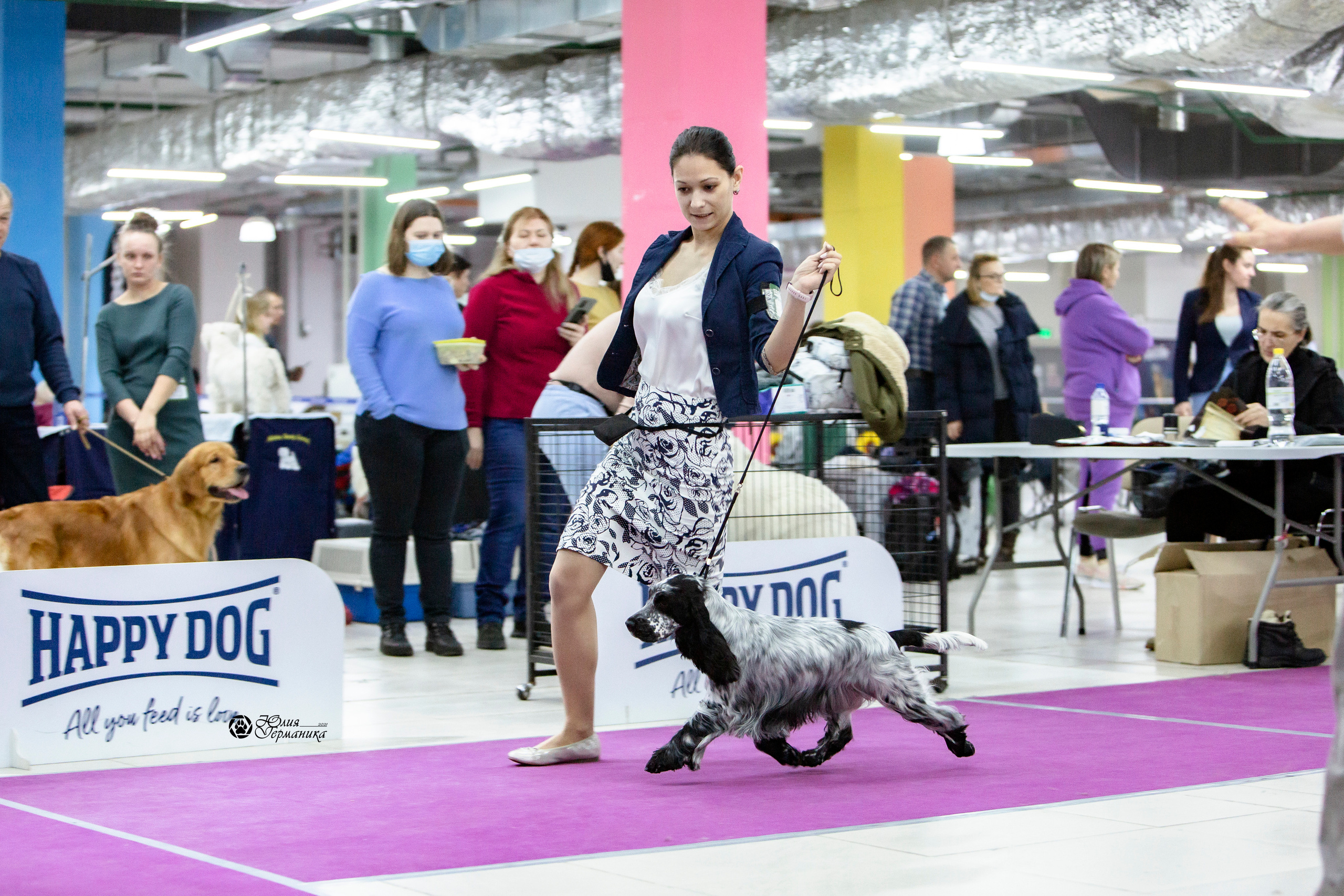 Чайна-Таун 18,26 и 29 декабря 2021. Фотограф-анималист Юлия Германика