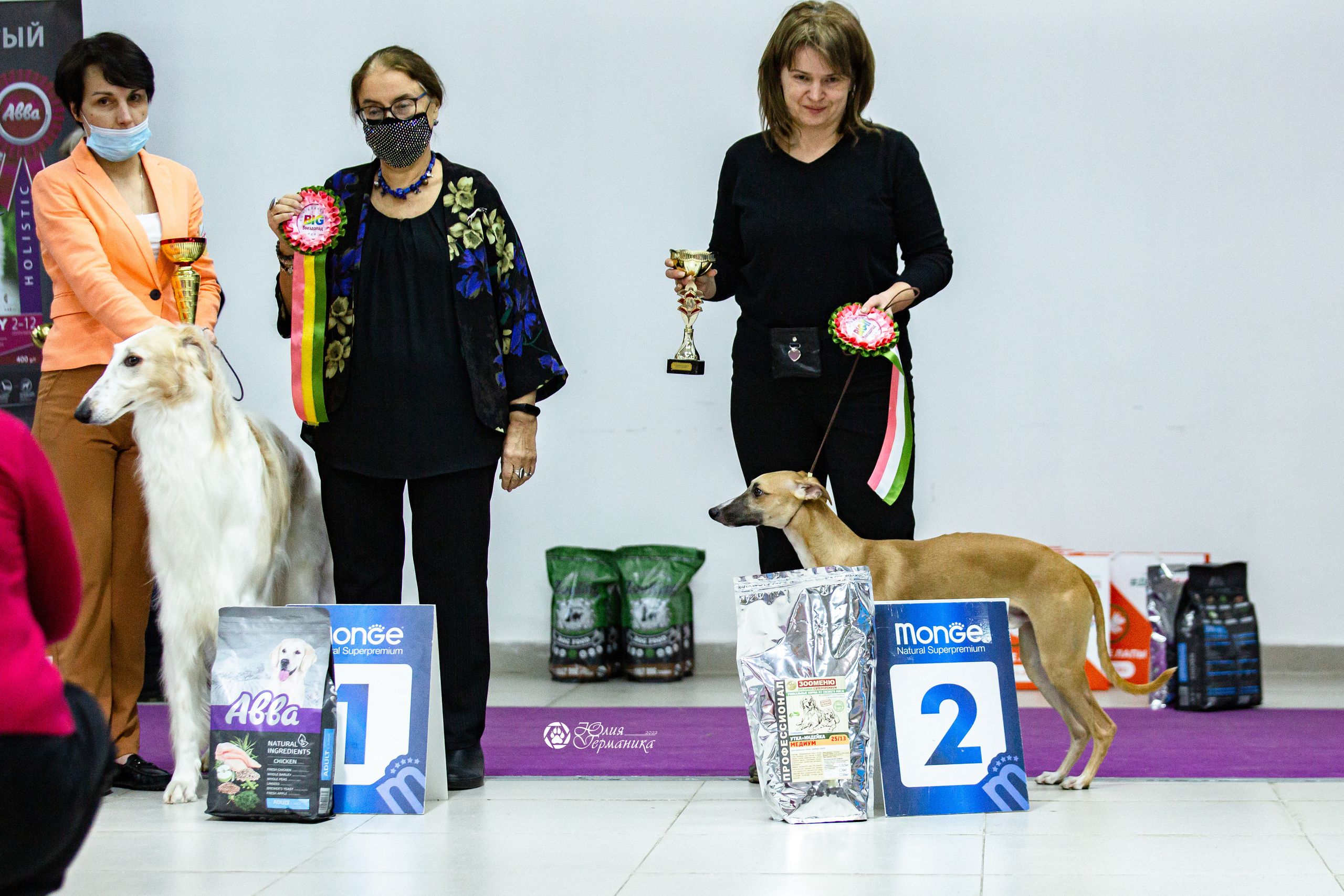 Чайна-Таун 29-30 января 2022. Фотограф-анималист Юлия Германика