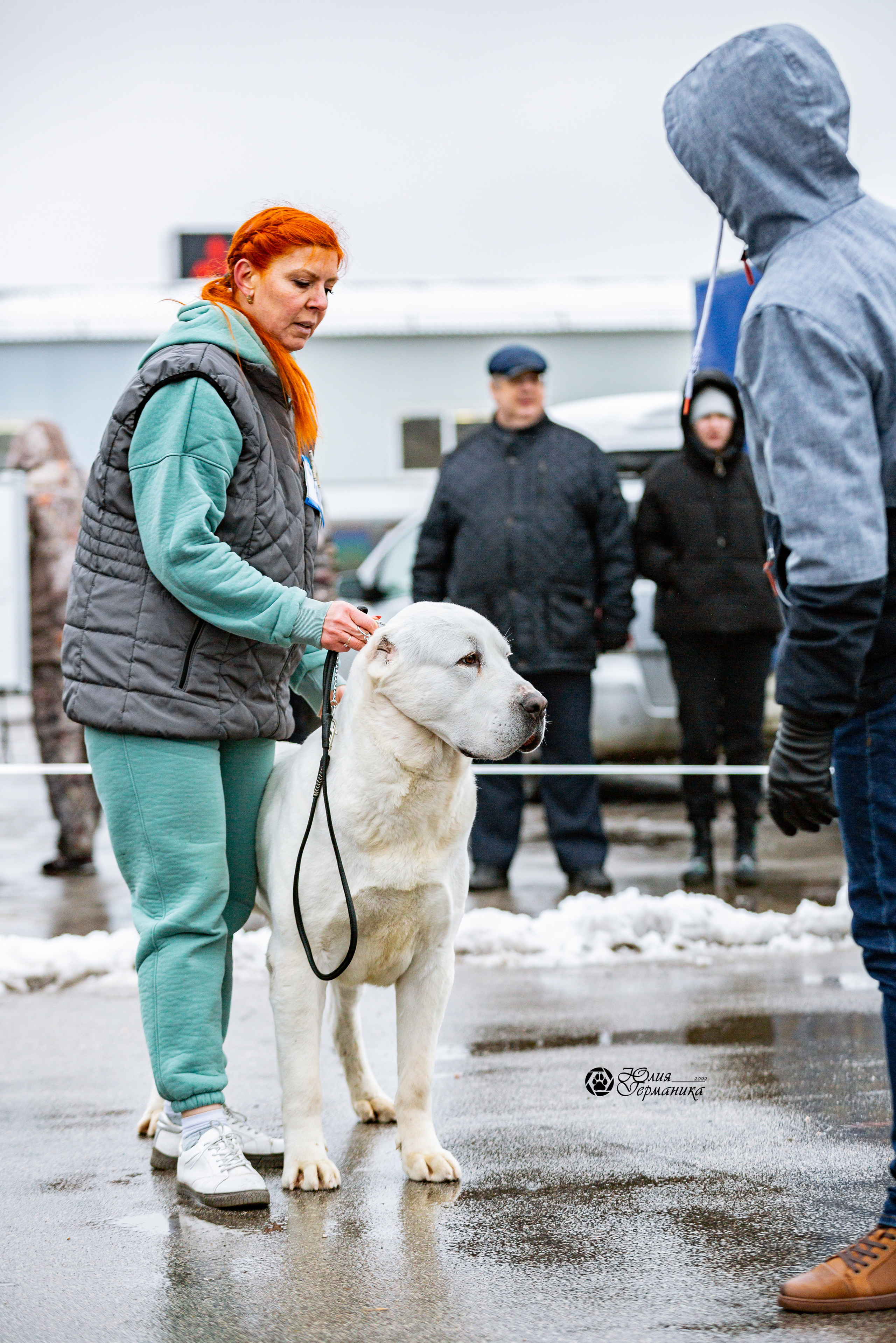 2хМОНО САО Рязань 02 апреля 2022. Фотограф-анималист Юлия Германика