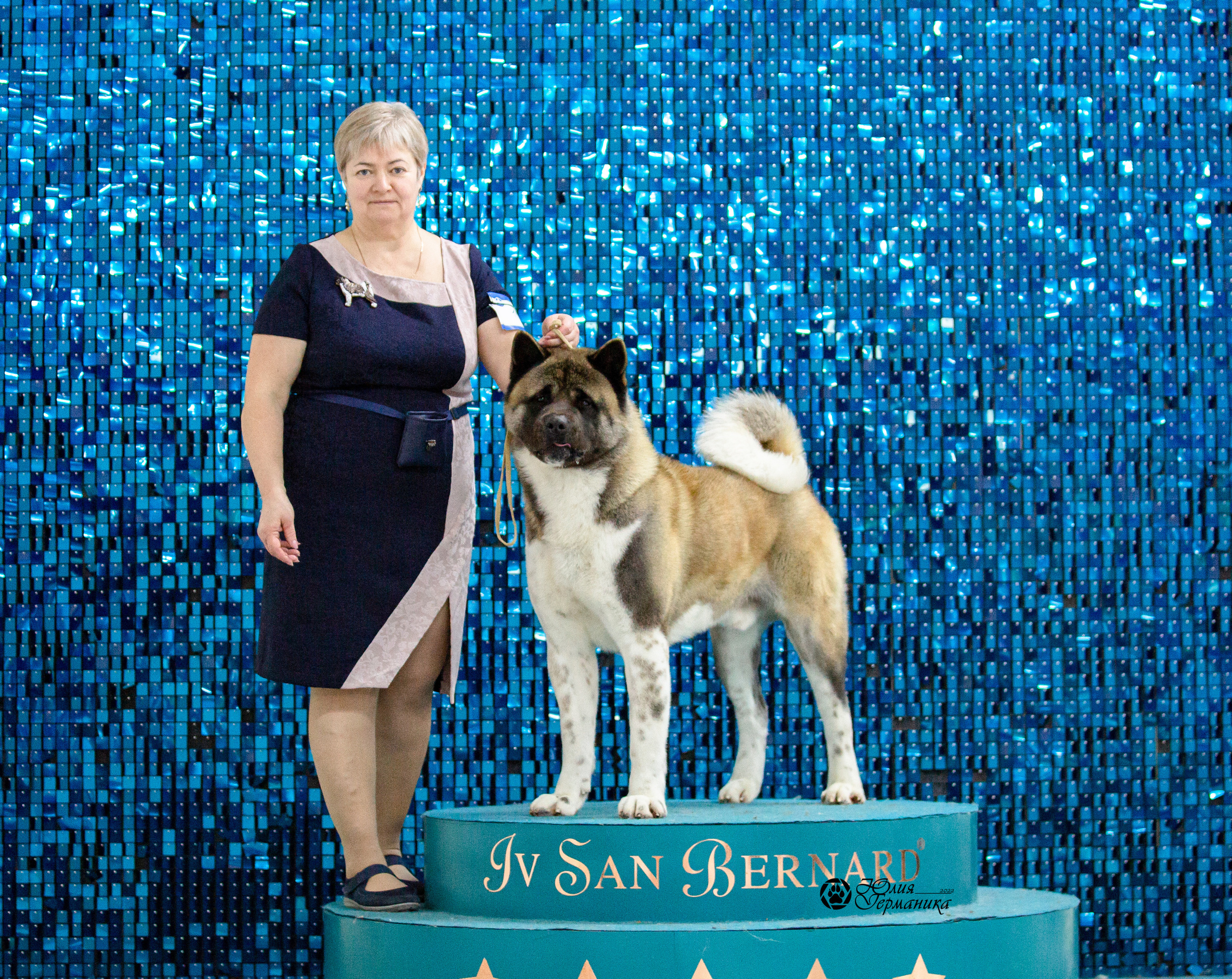 Чайна-Таун 29-30 января 2022. Фотограф-анималист Юлия Германика