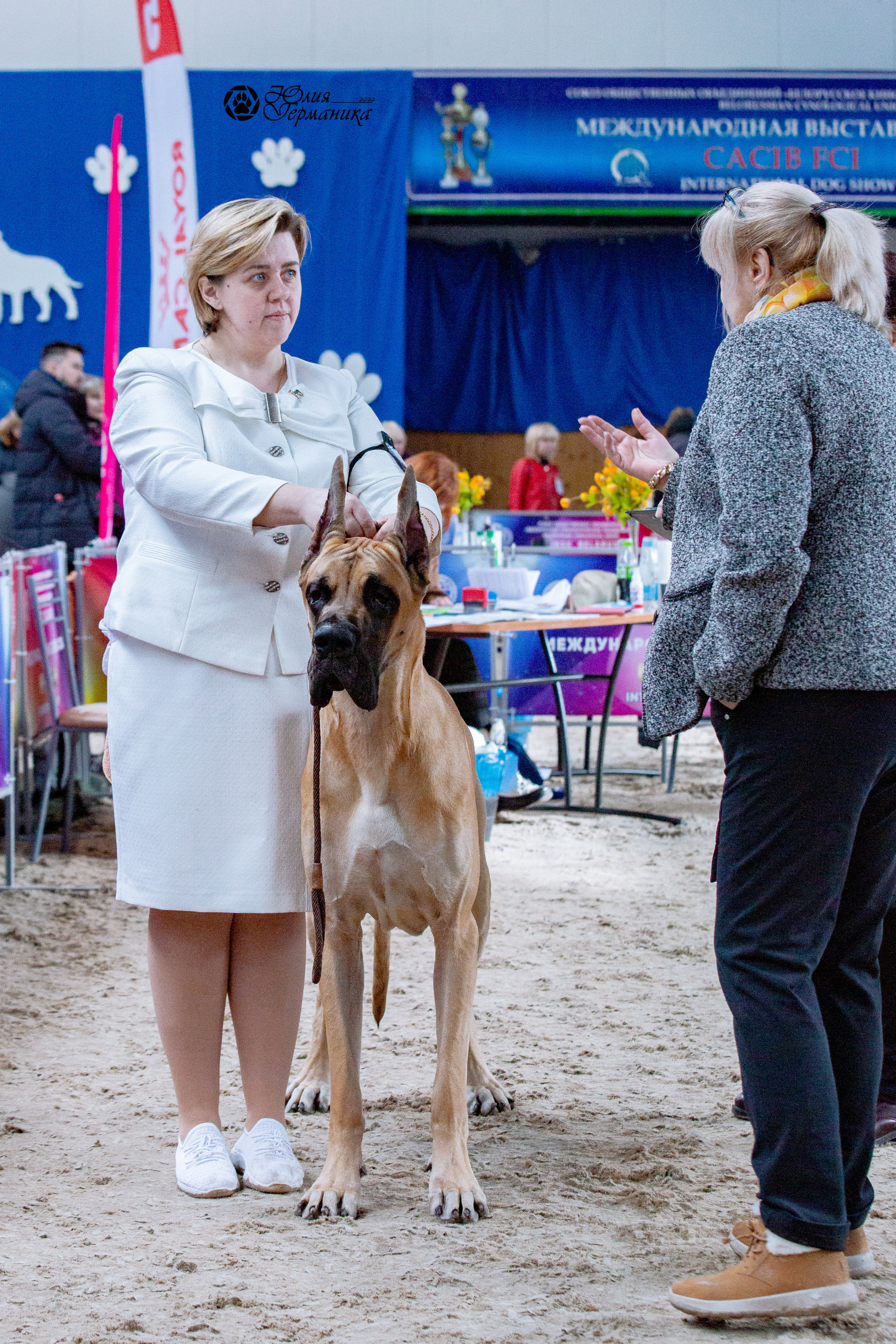 Минск 2хCACIB 5-6 марта 2022. Фотограф-анималист Юлия Германика