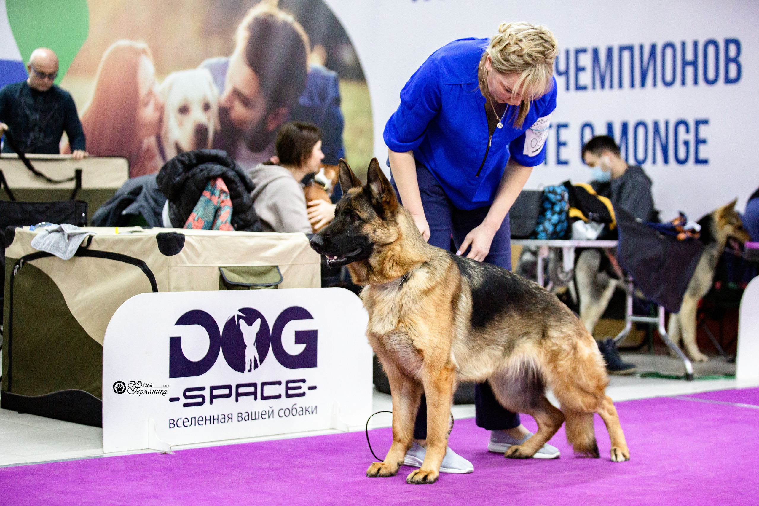 Чайна-Таун 12-13 февраля 2022. Фотограф-анималист Юлия Германика