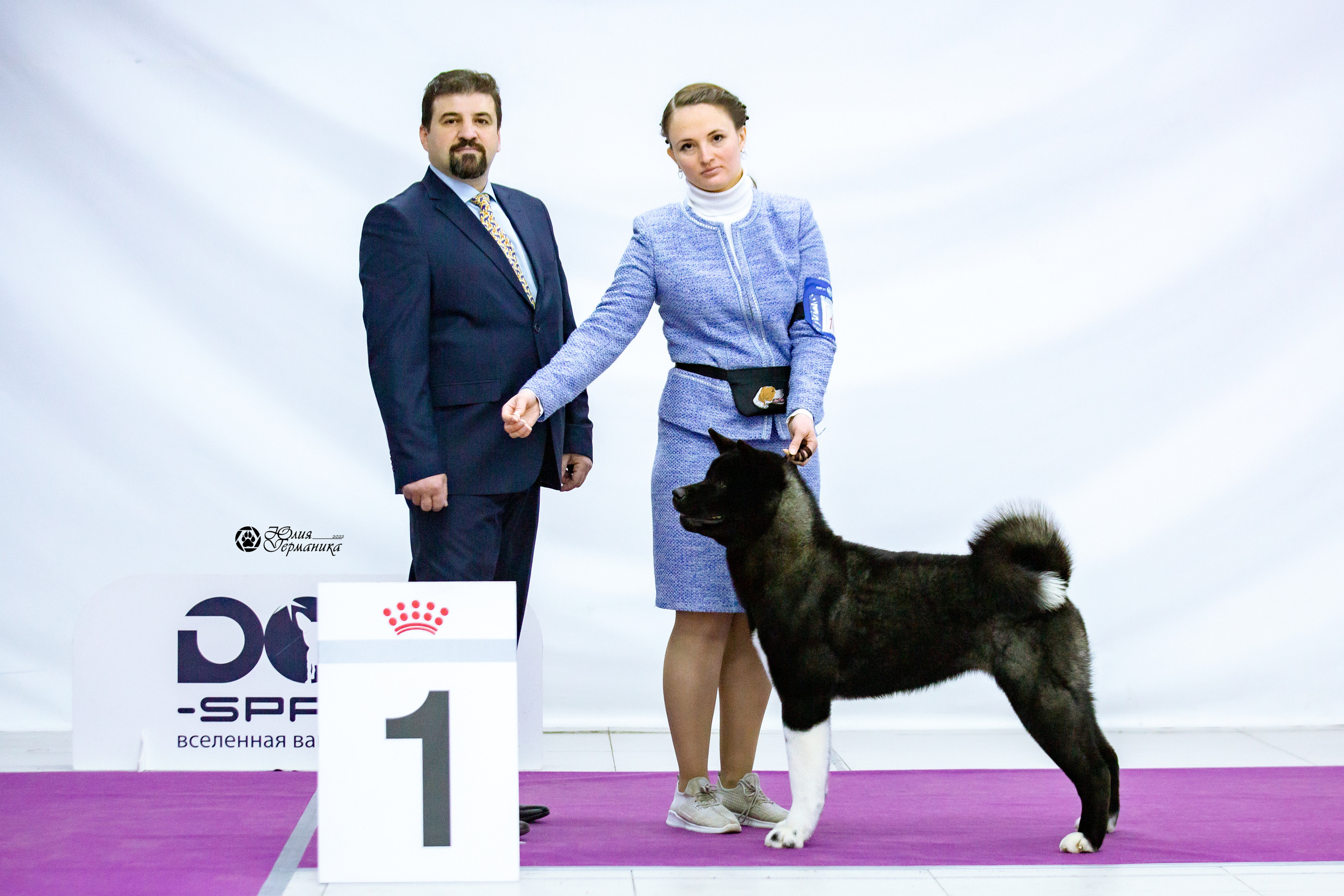 Чайна-Таун 13 и 20 марта 2022. Фотограф-анималист Юлия Германика