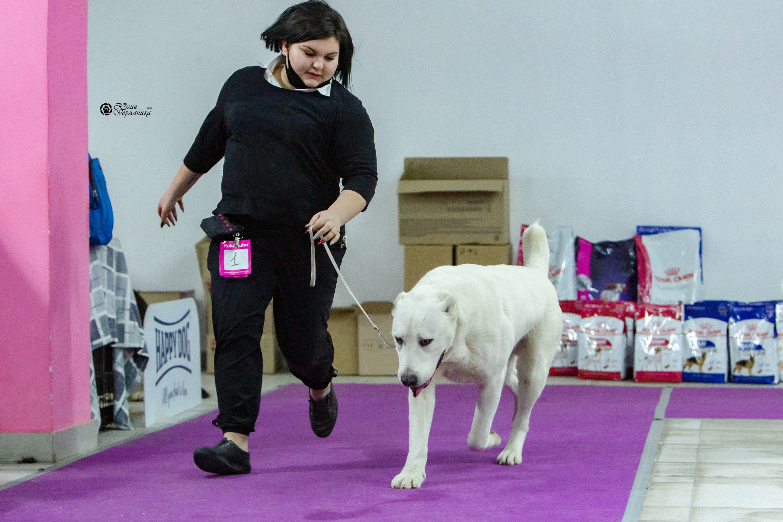 Чайна-Таун 8 января 2022. Фотограф-анималист Юлия Германика