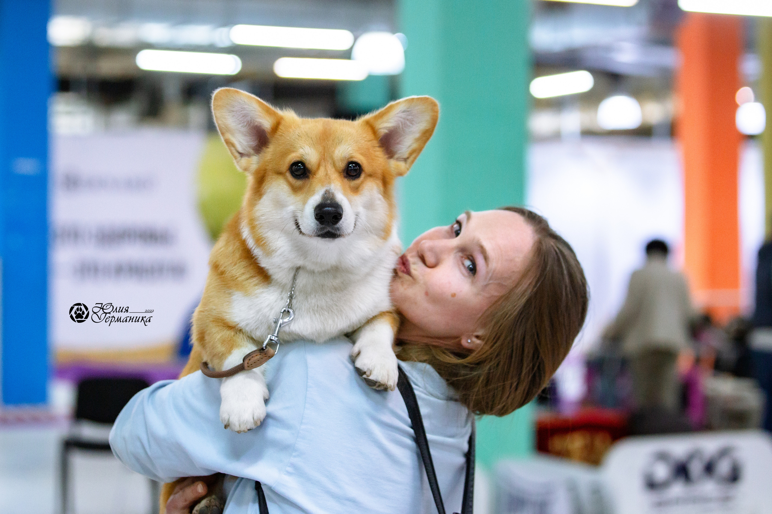 Чайна-Таун 23 февраля 2022. Фотограф-анималист Юлия Германика