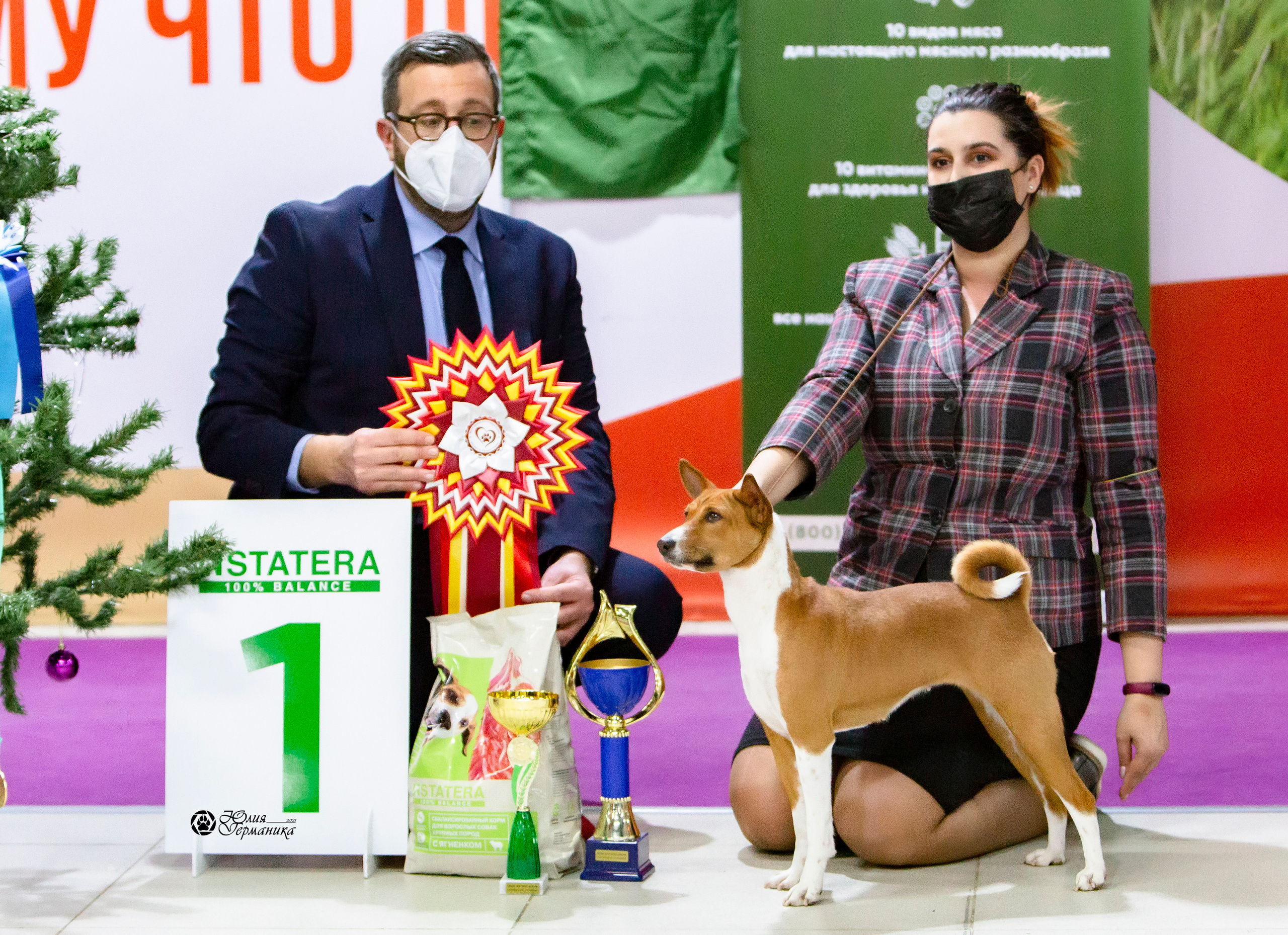 Чайна-Таун 18,26 и 29 декабря 2021. Фотограф-анималист Юлия Германика