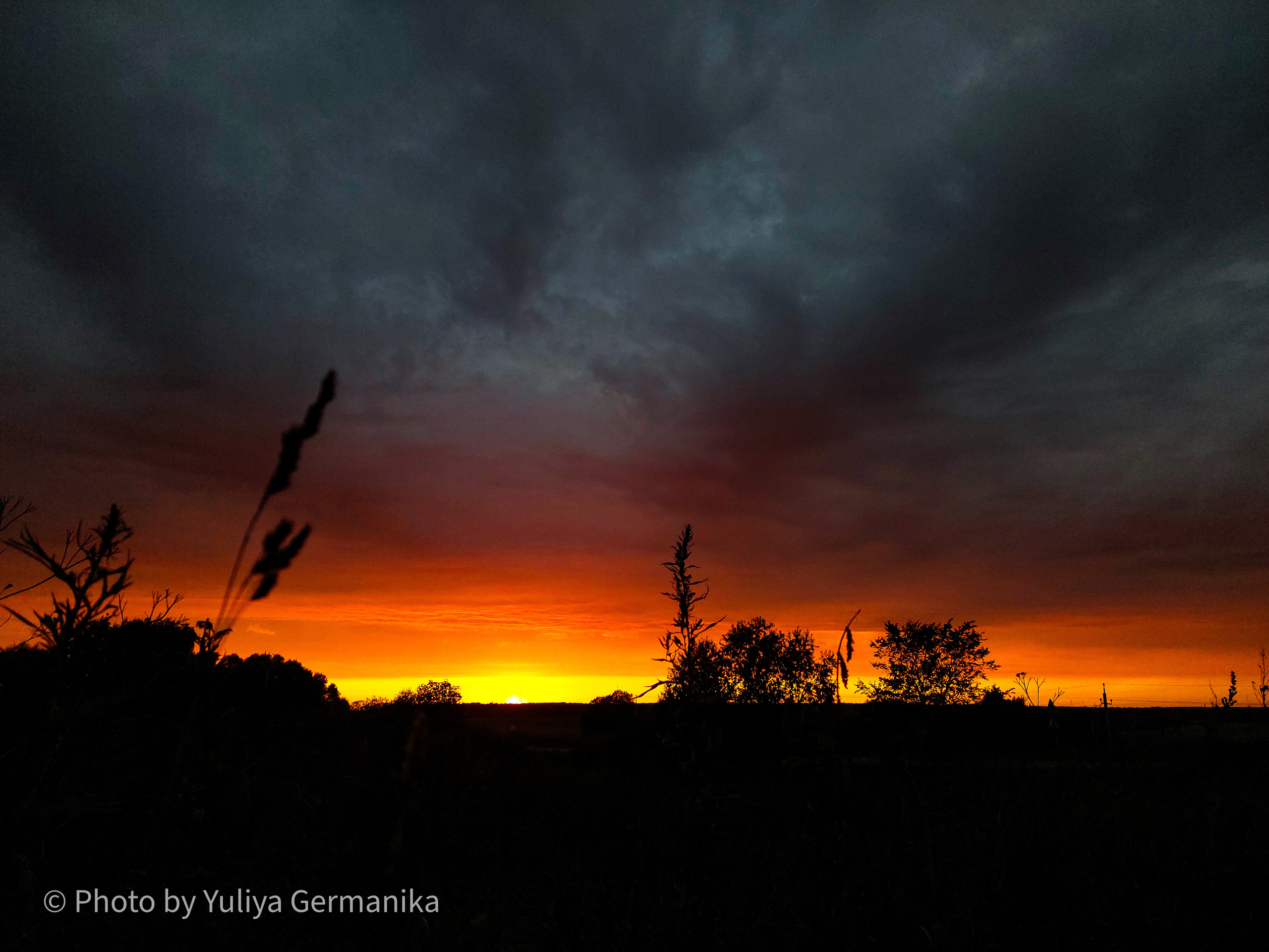 Разные фото на телефон.Города,природа. Фотограф-анималист Юлия Германика