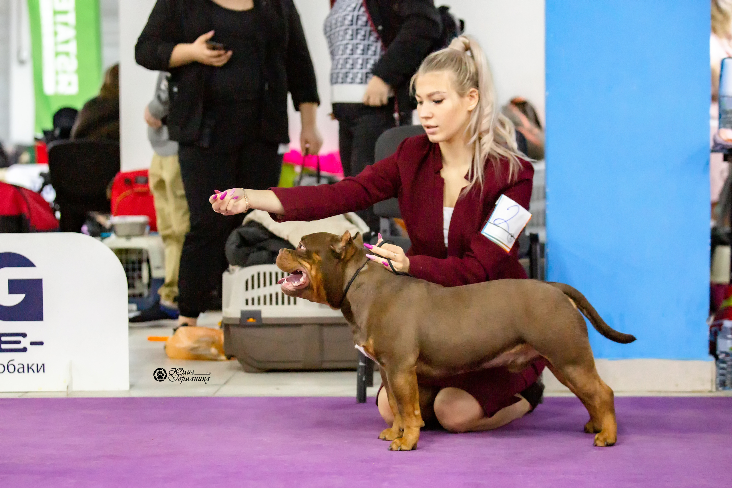 Чайна-Таун 27 февраля 2022. Фотограф-анималист Юлия Германика