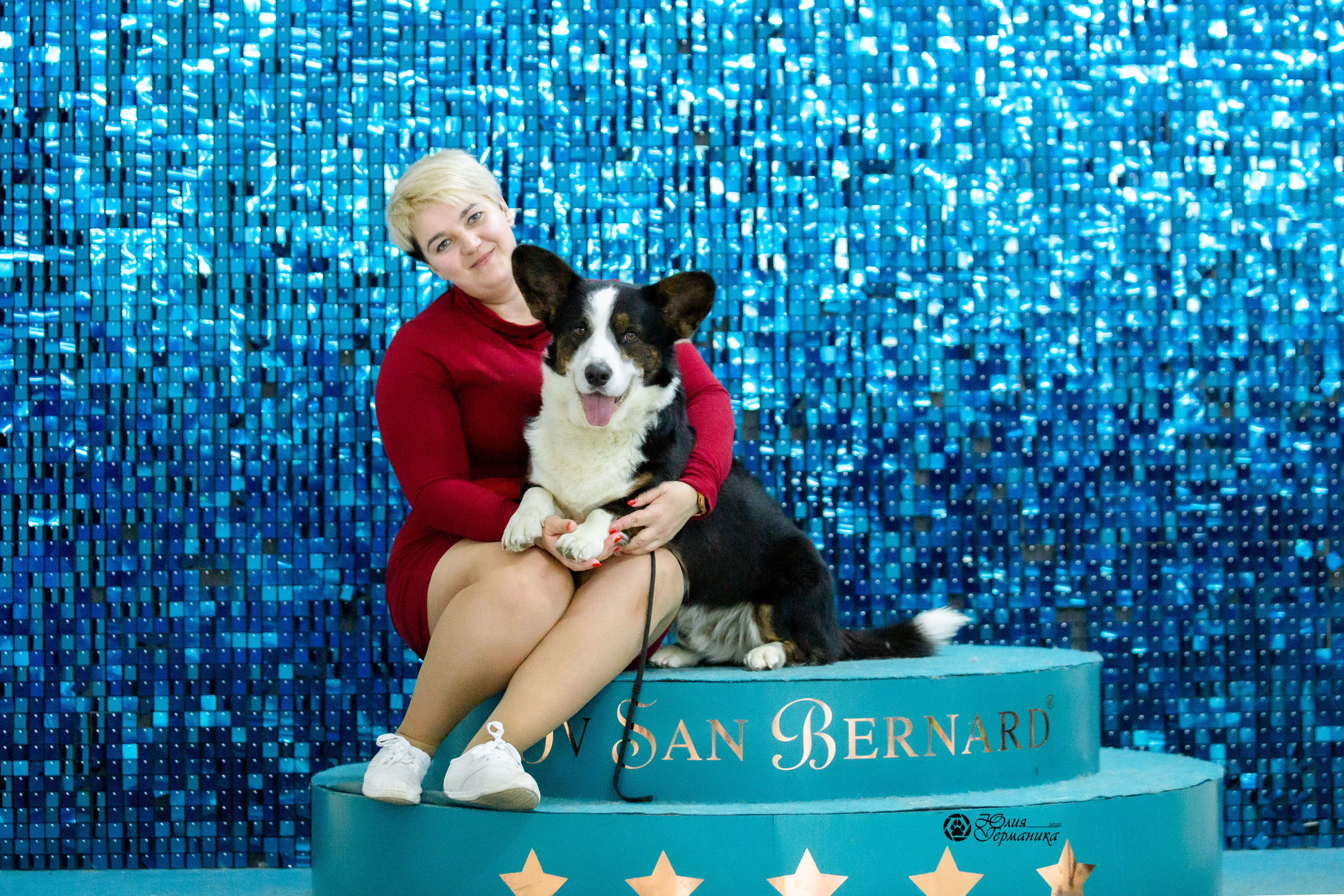 Чайна-Таун 27 февраля 2022. Фотограф-анималист Юлия Германика