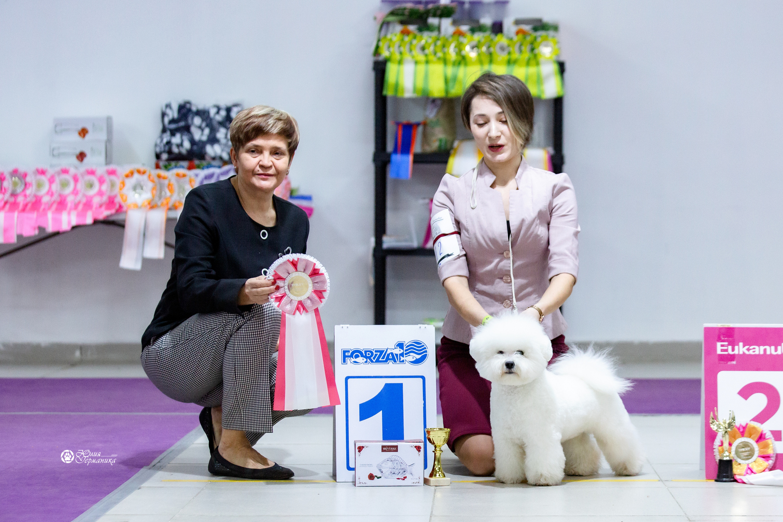 Чайна-Таун 12-13 февраля 2022. Фотограф-анималист Юлия Германика