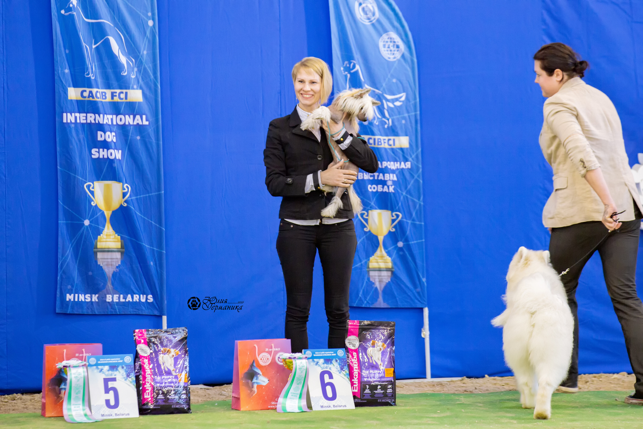 Минск 2хCACIB 5-6 марта 2022. Фотограф-анималист Юлия Германика