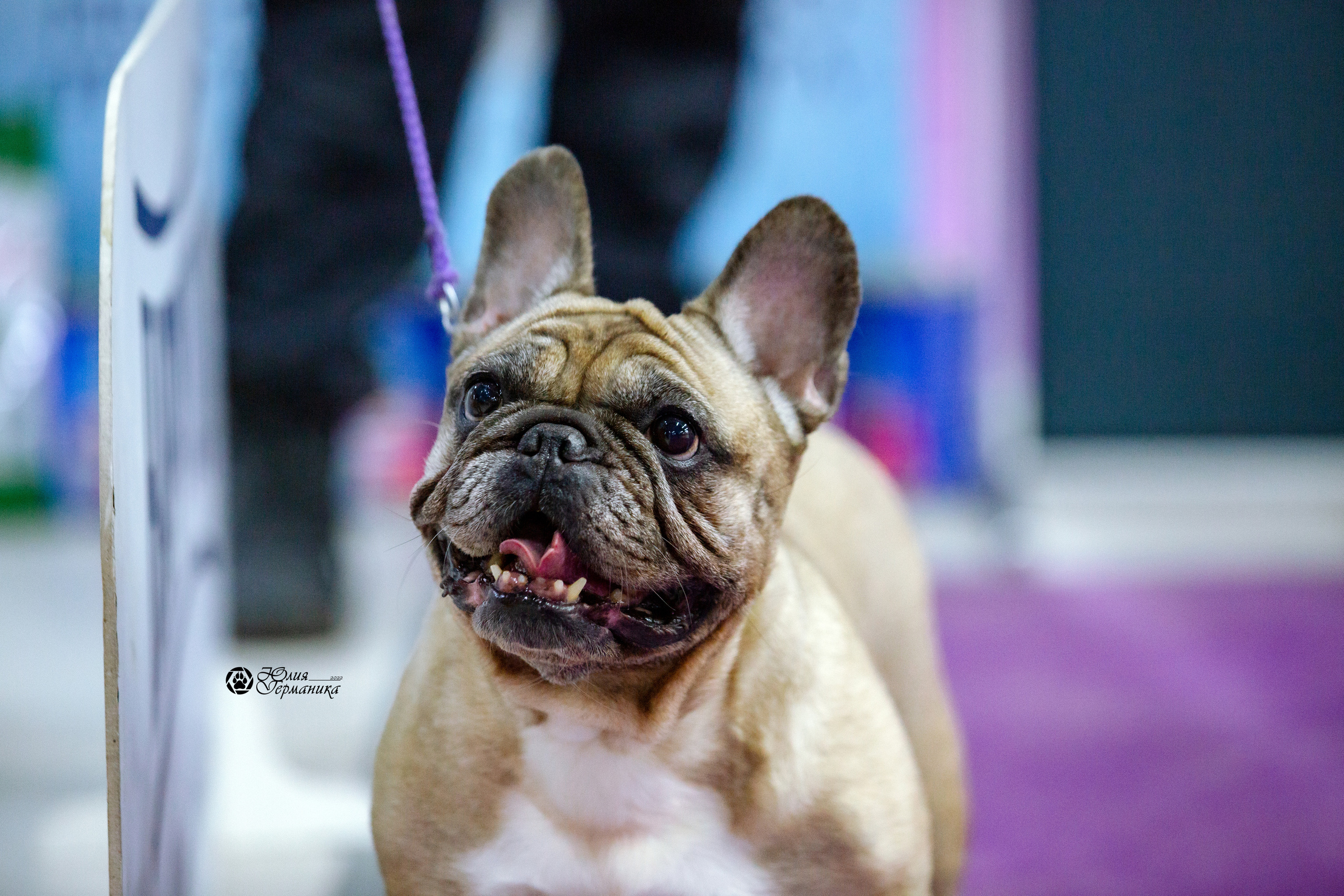 Чайна-Таун 27 февраля 2022