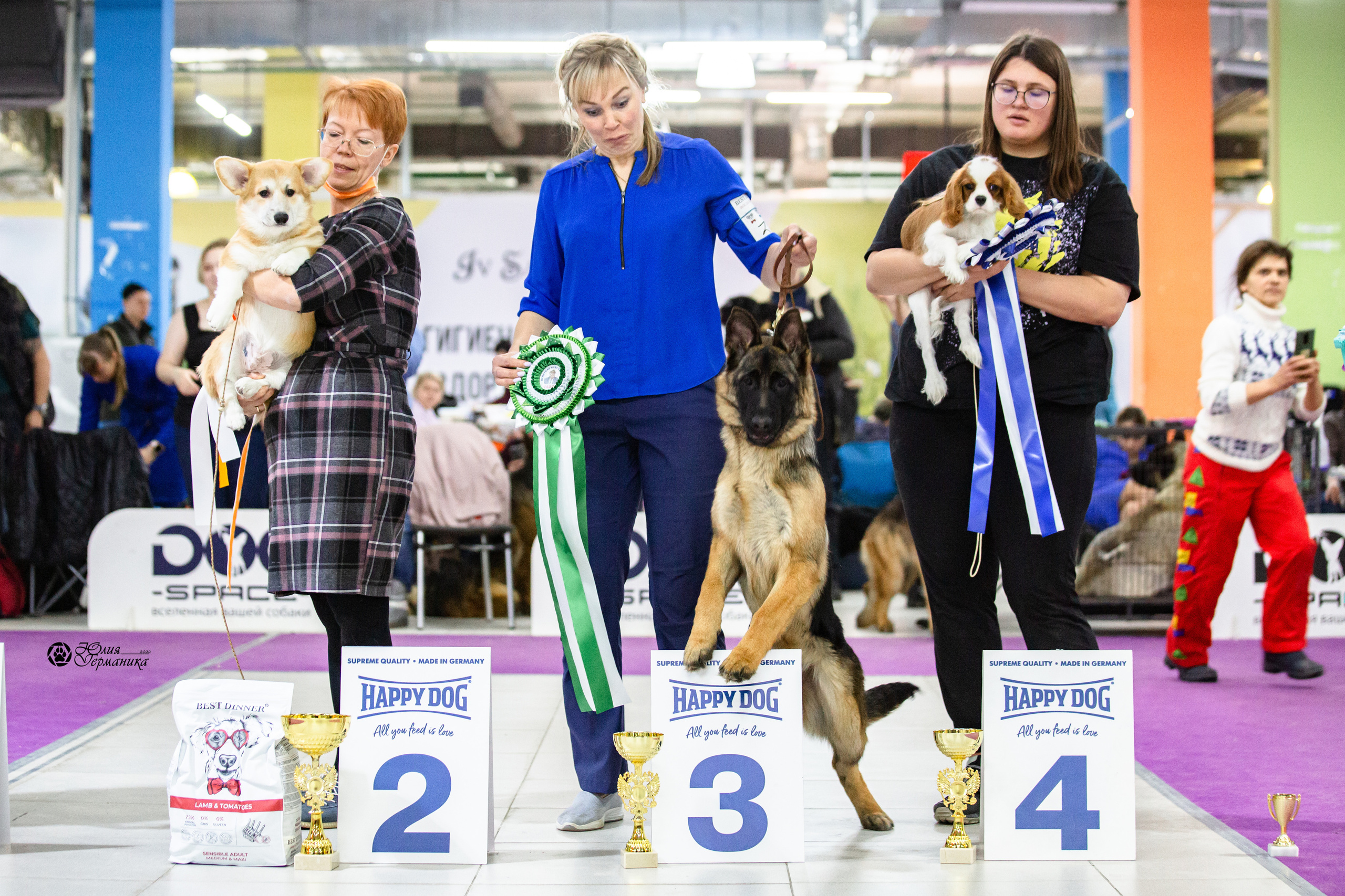 Чайна-Таун 12-13 февраля 2022. Фотограф-анималист Юлия Германика